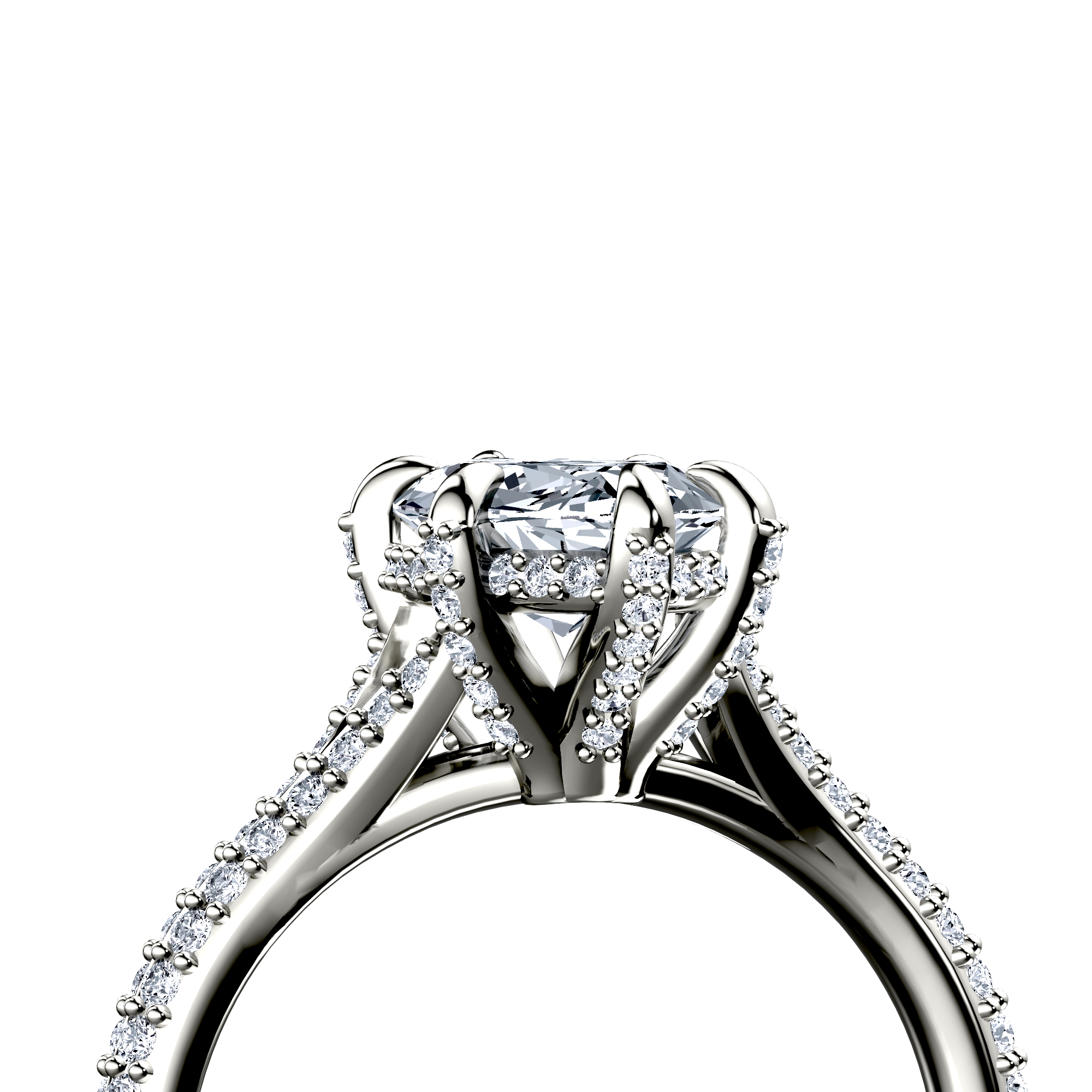 Image for The Adora