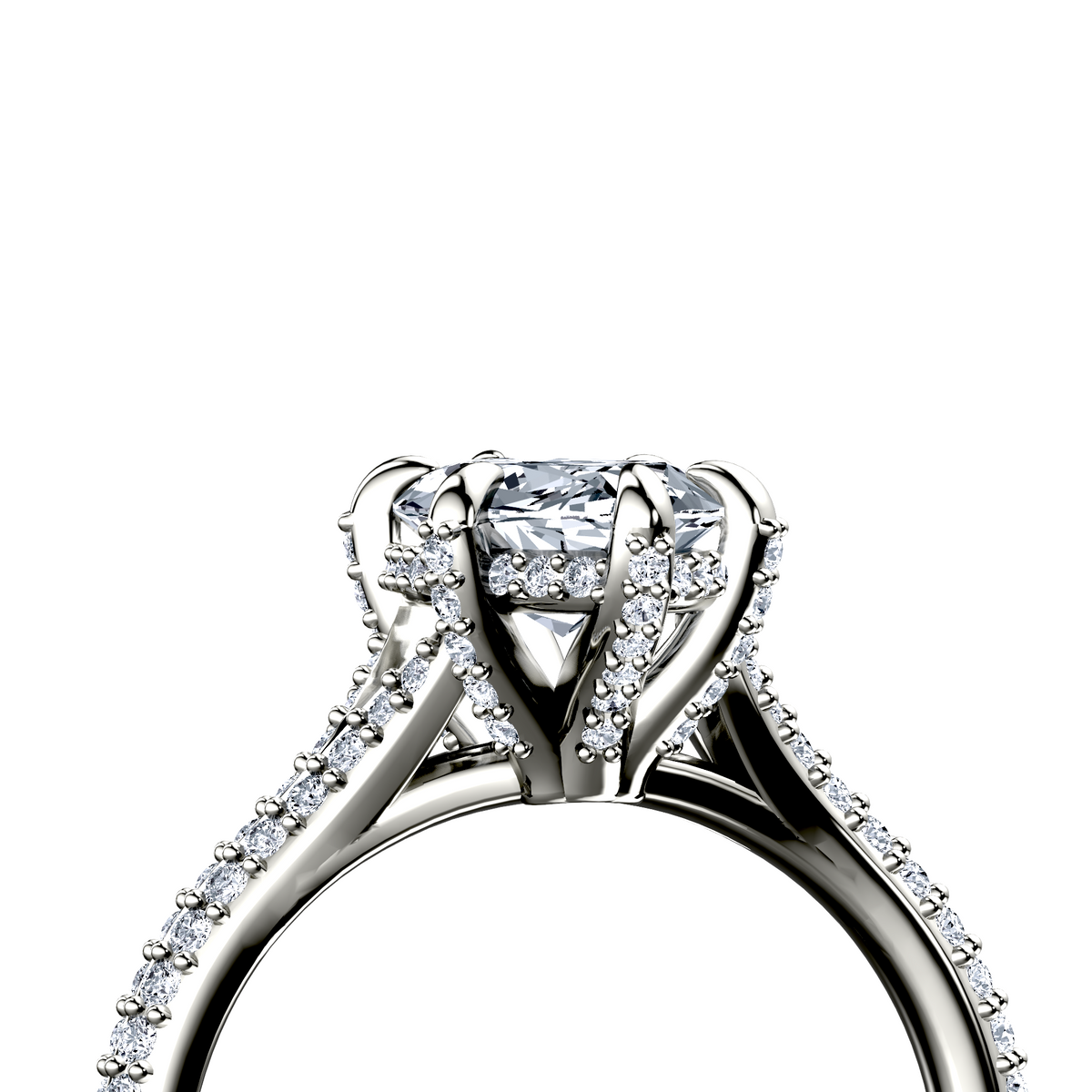 Image for The Adora