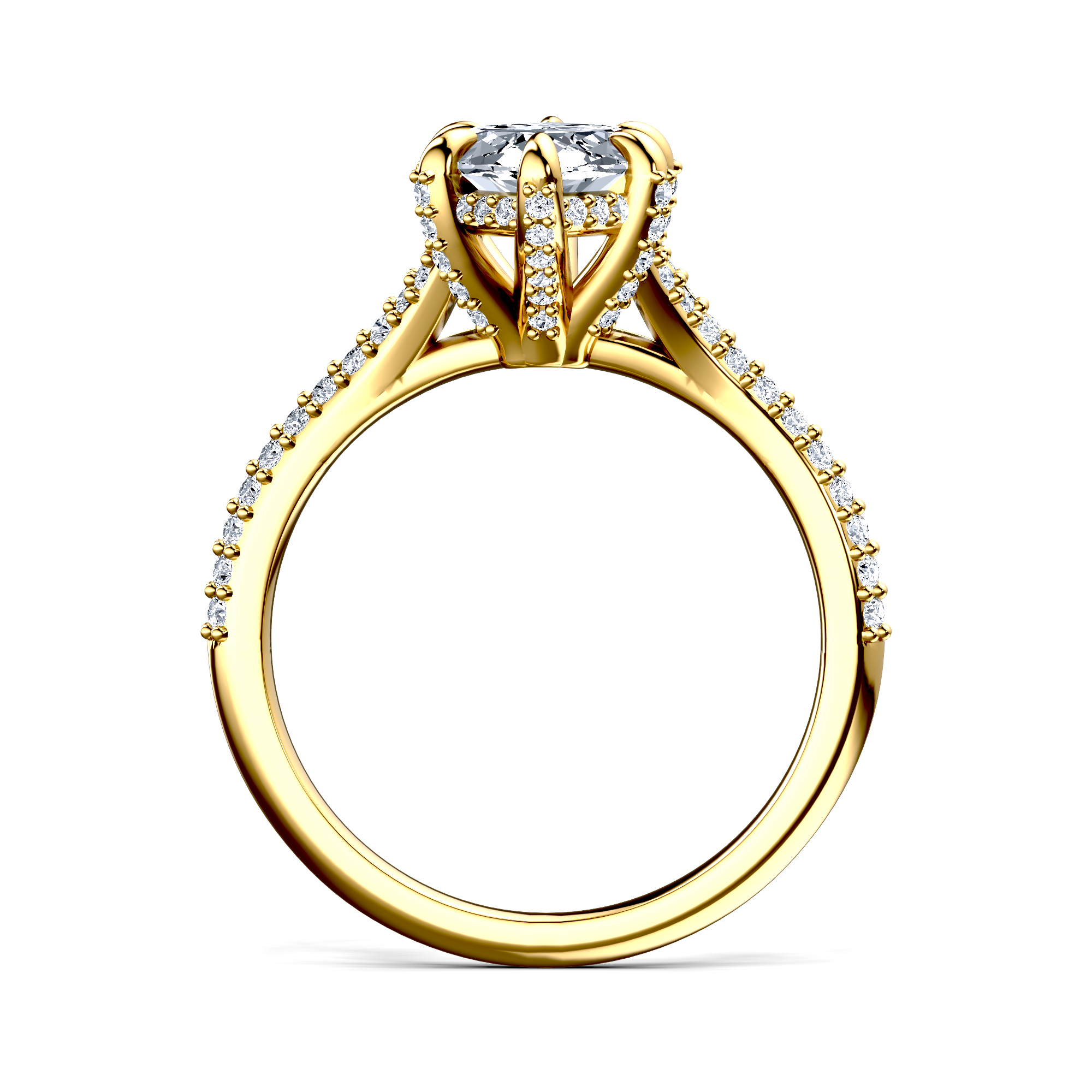 Image for The Adora