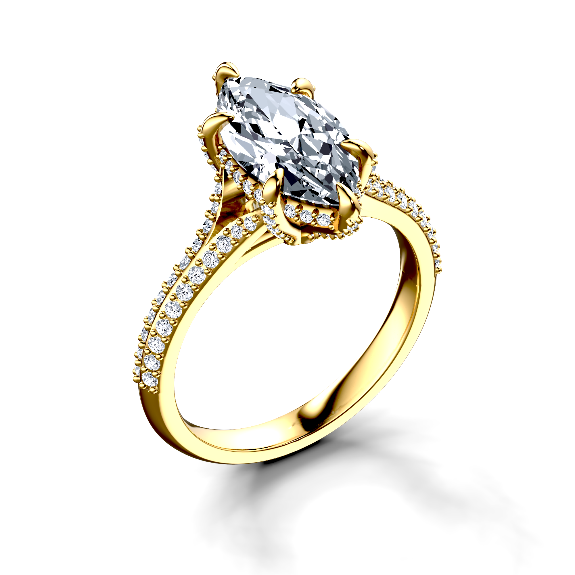 Image for The Adora