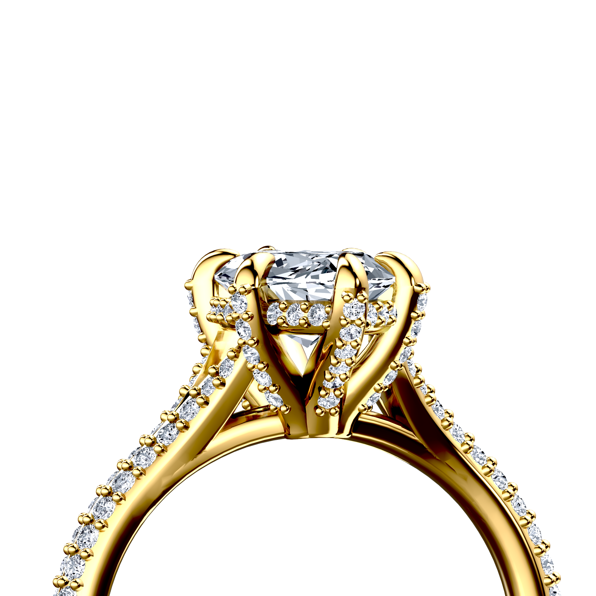 Image for The Adora