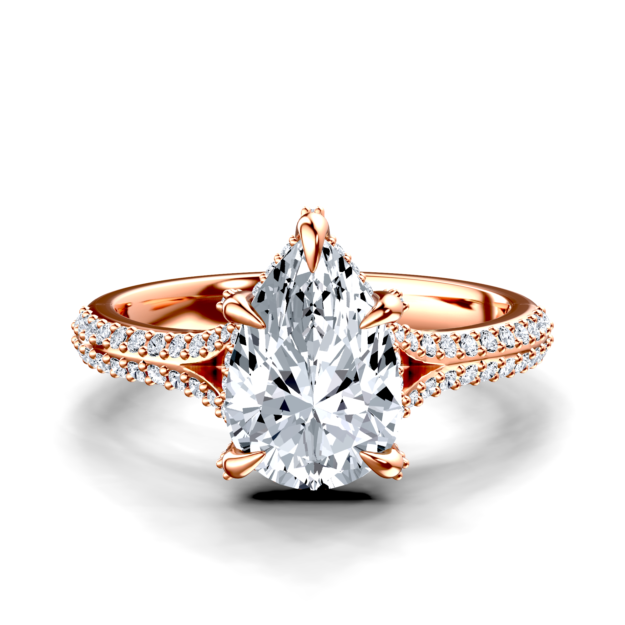 Image for The Adora