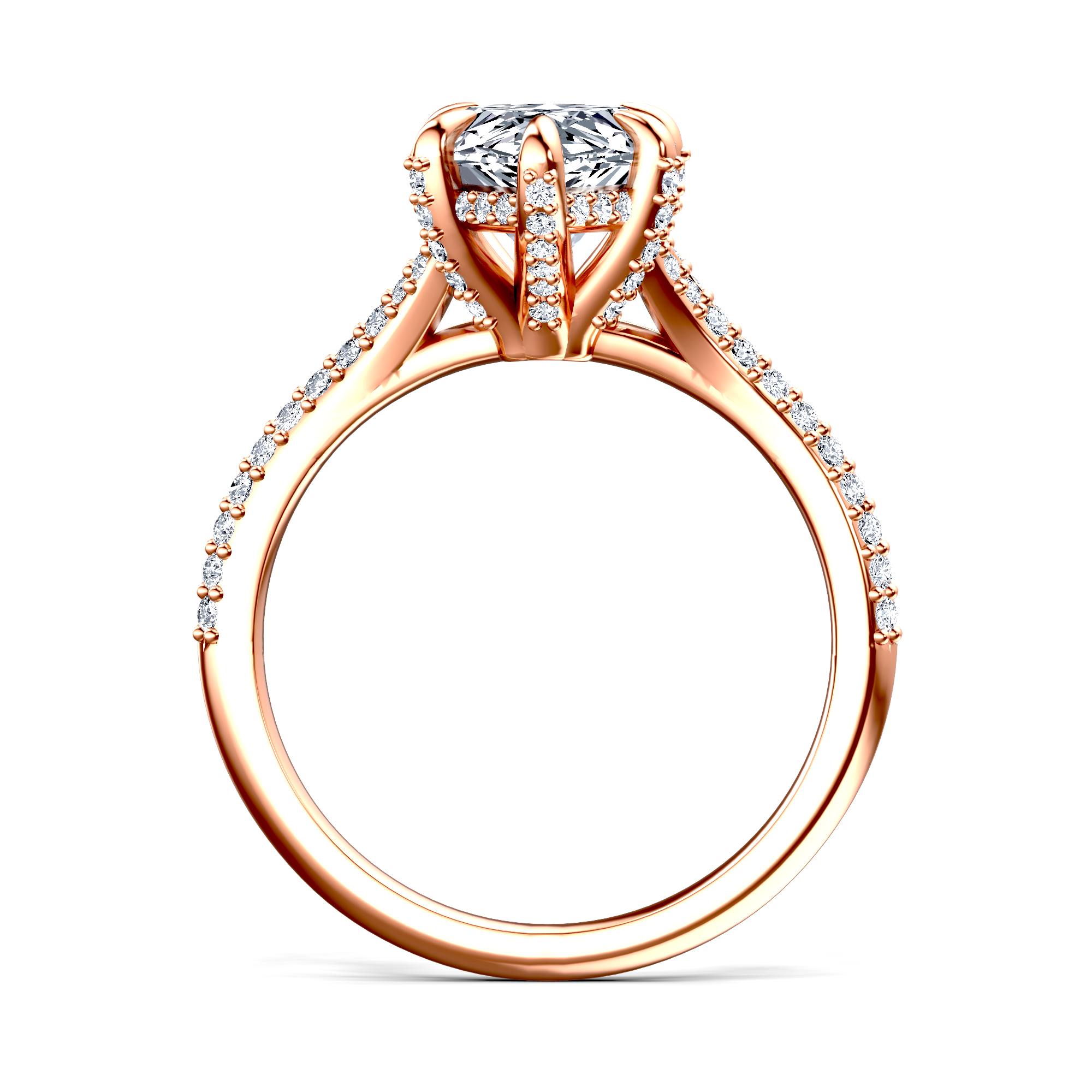 Image for The Adora