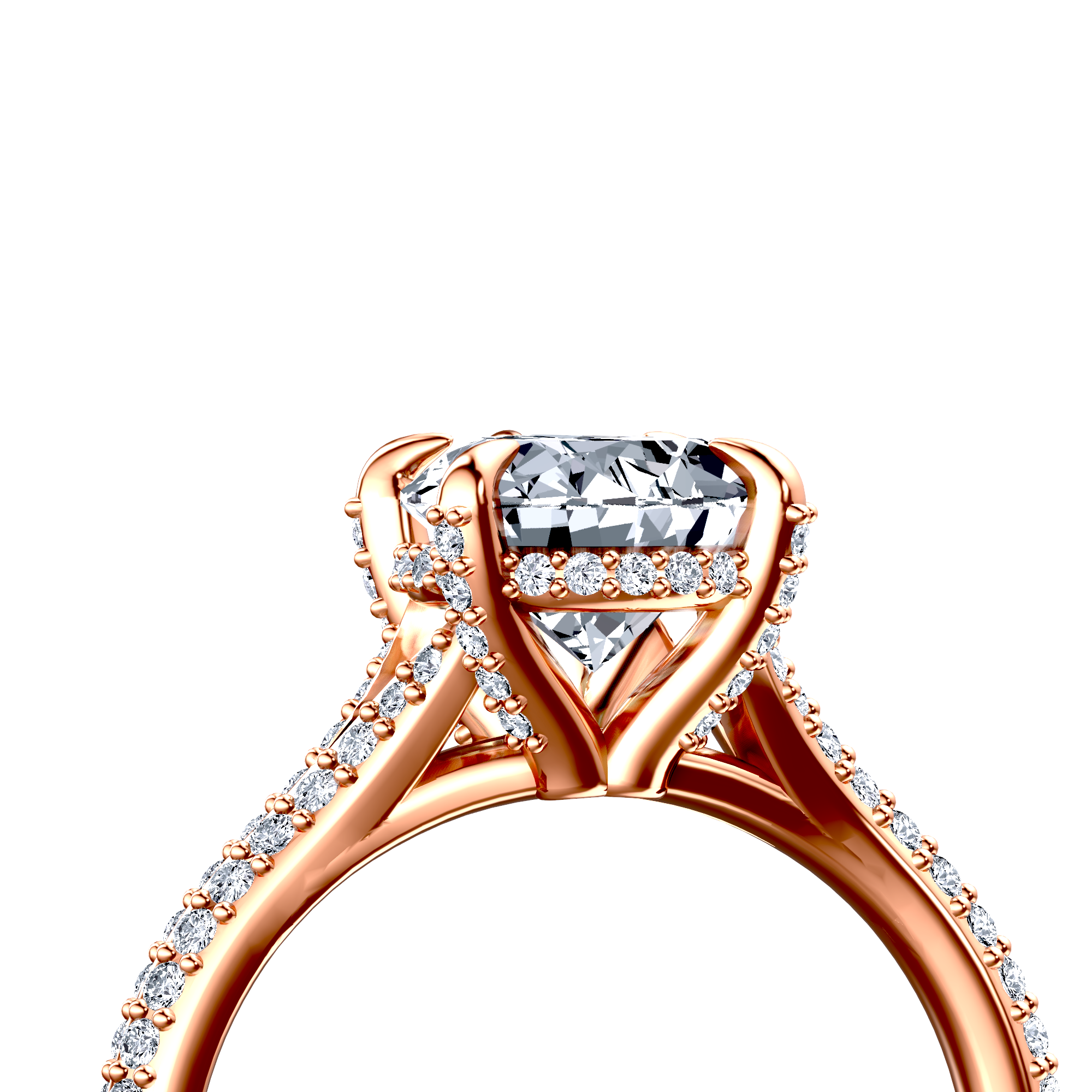 Image for The Adora