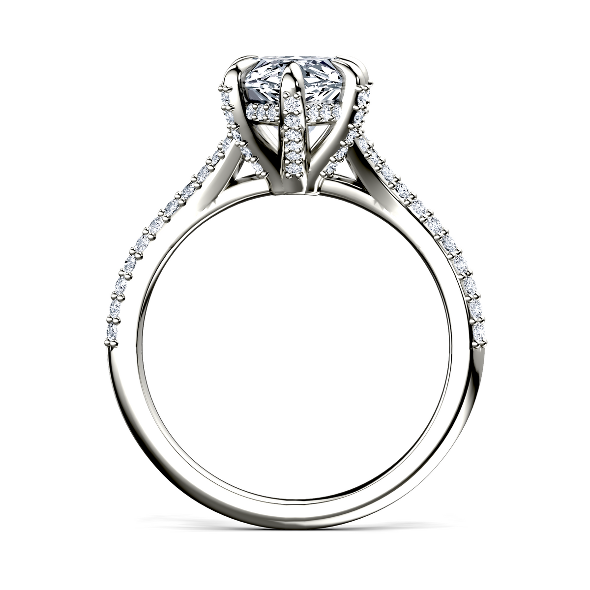 Image for The Adora