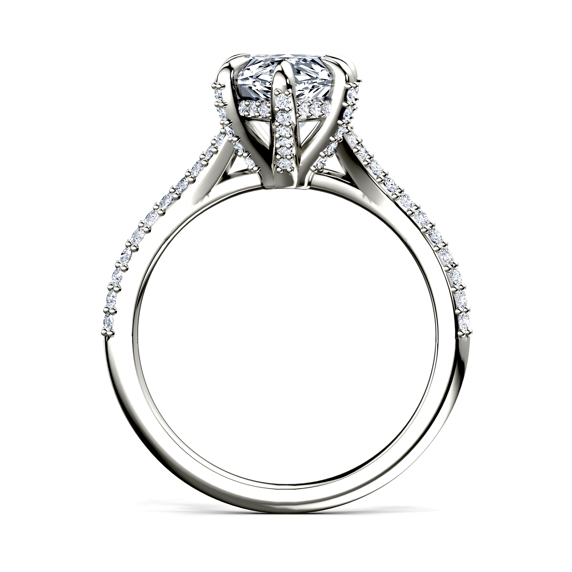 Image for The Adora