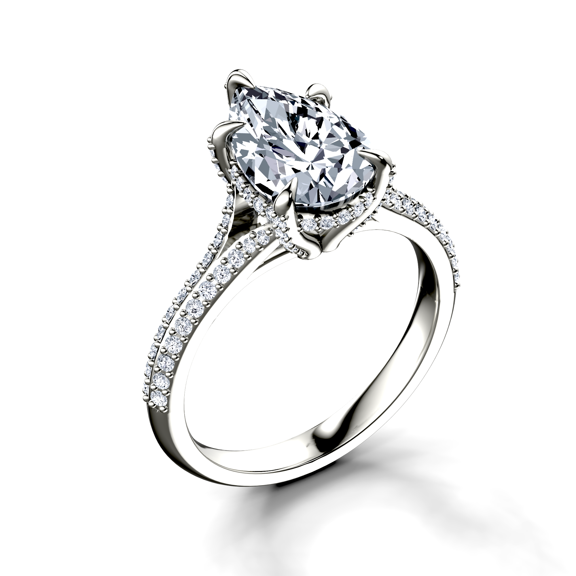 Image for The Adora