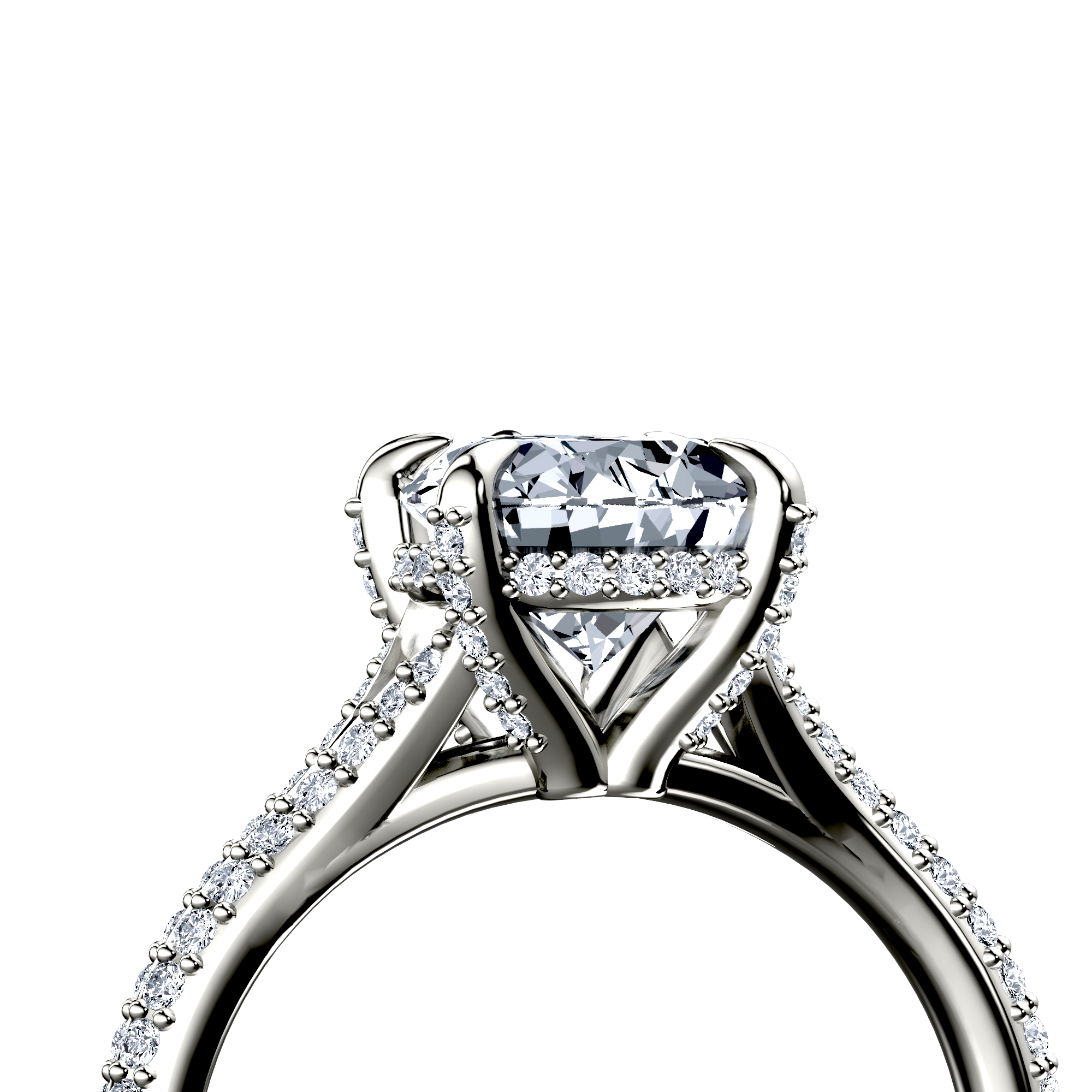 Image for The Adora