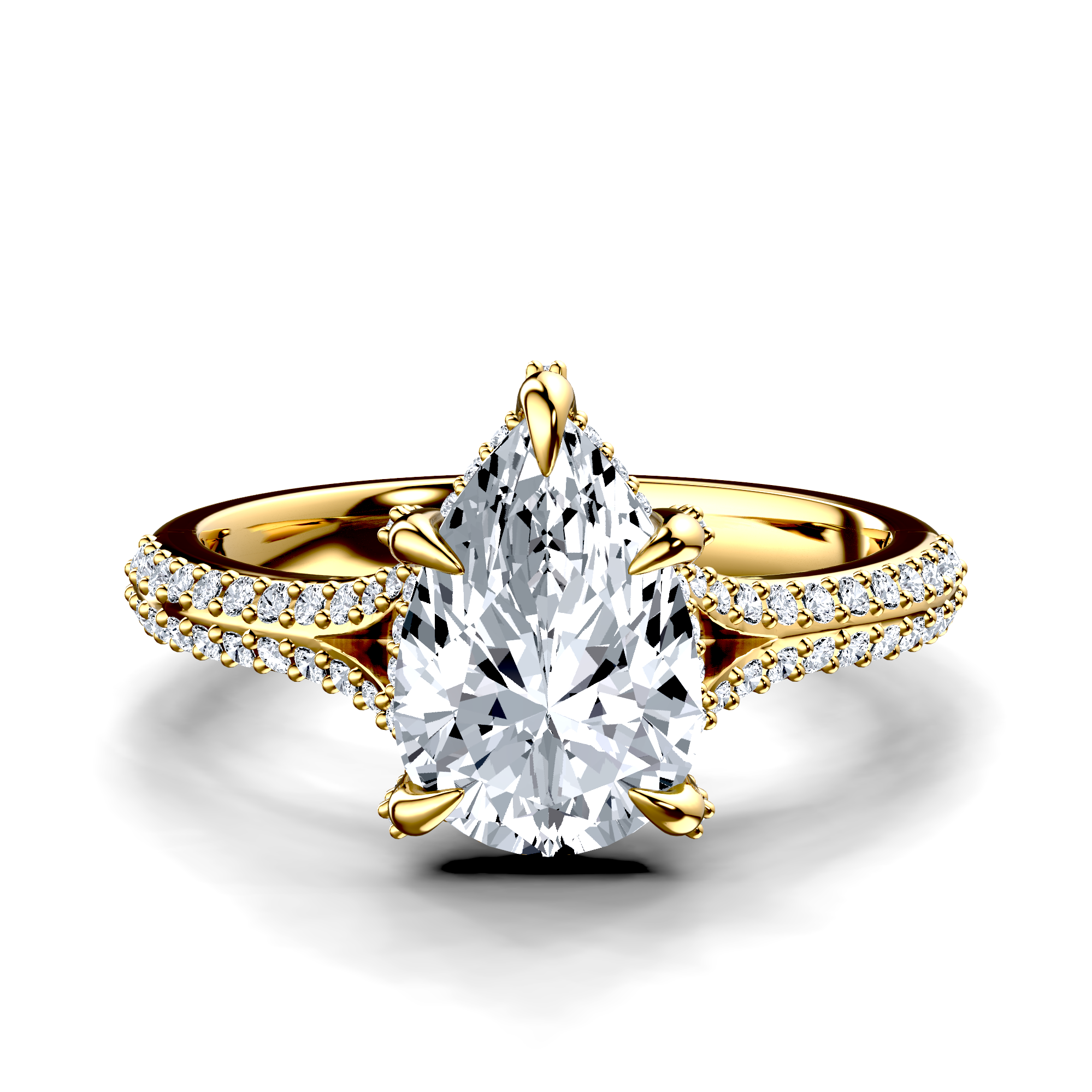 Image for The Adora