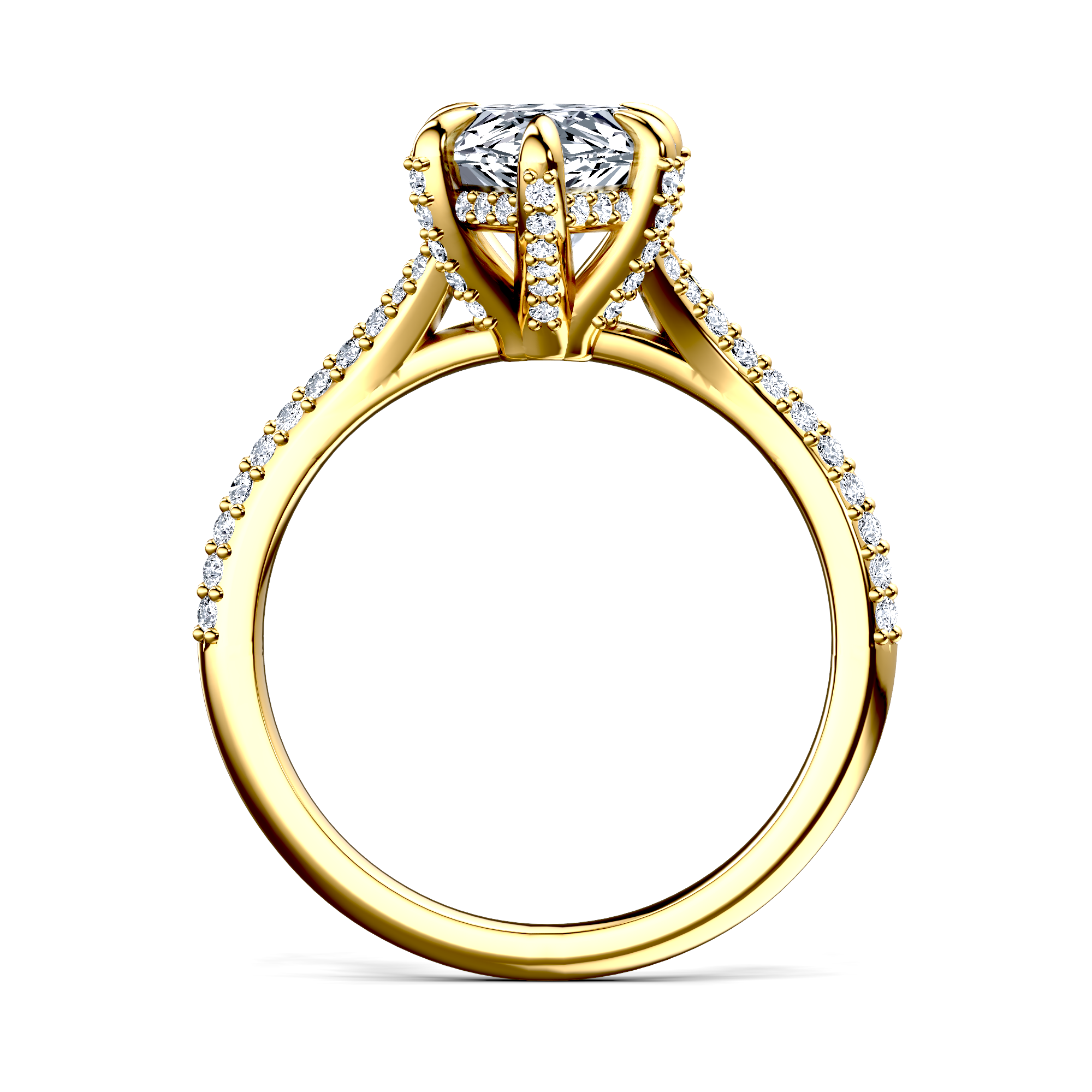 Image for The Adora