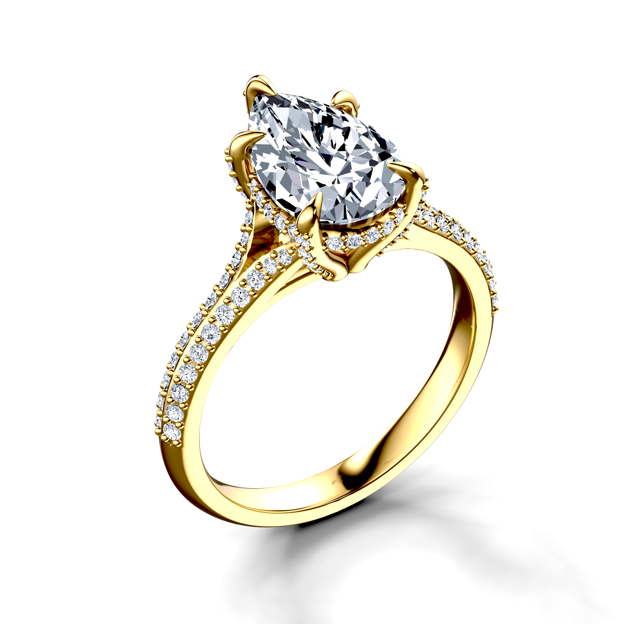 Image for The Adora