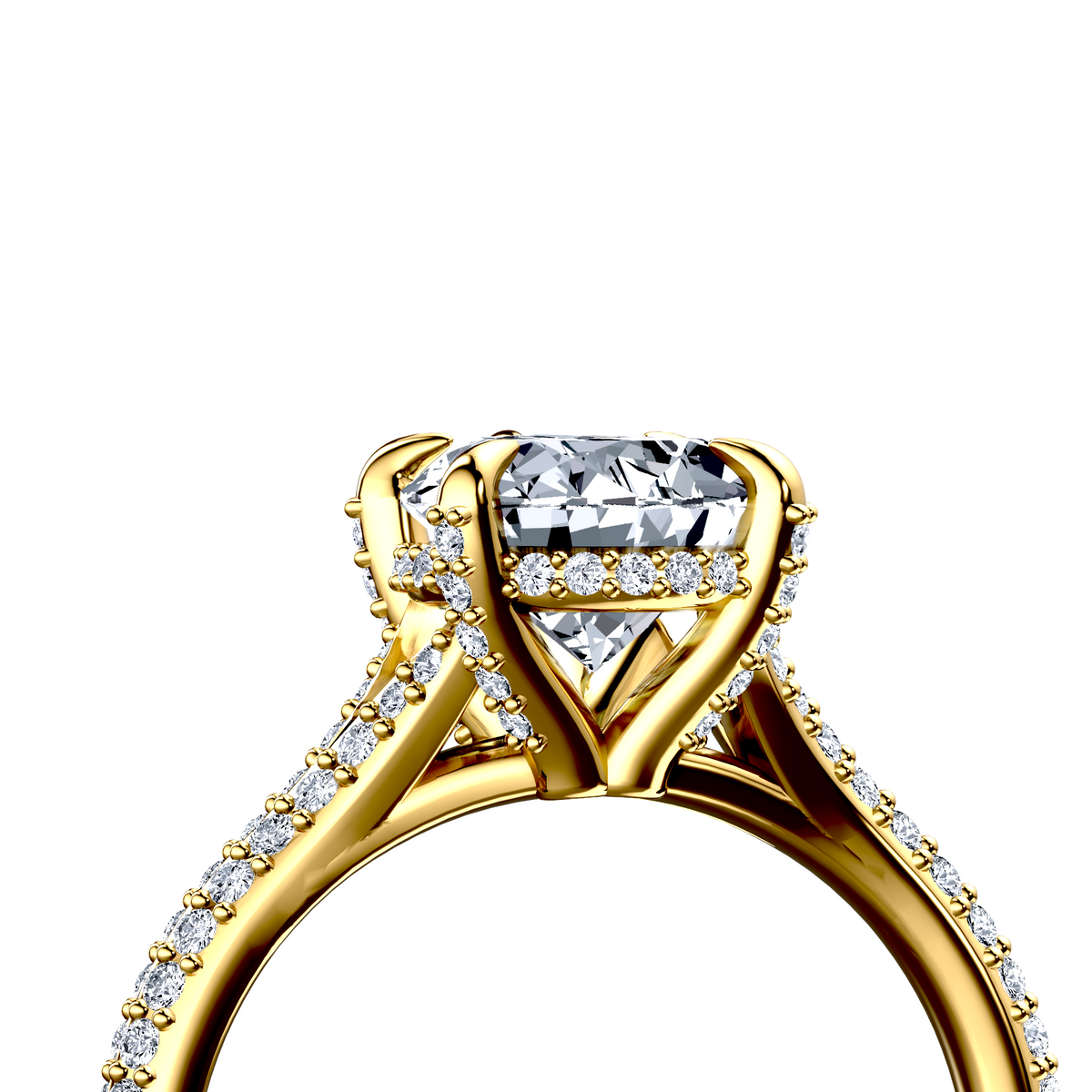 Image for The Adora