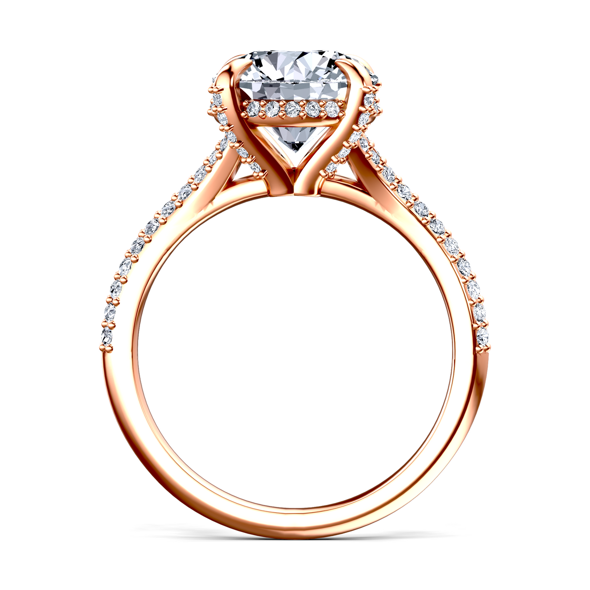 Image for The Adora