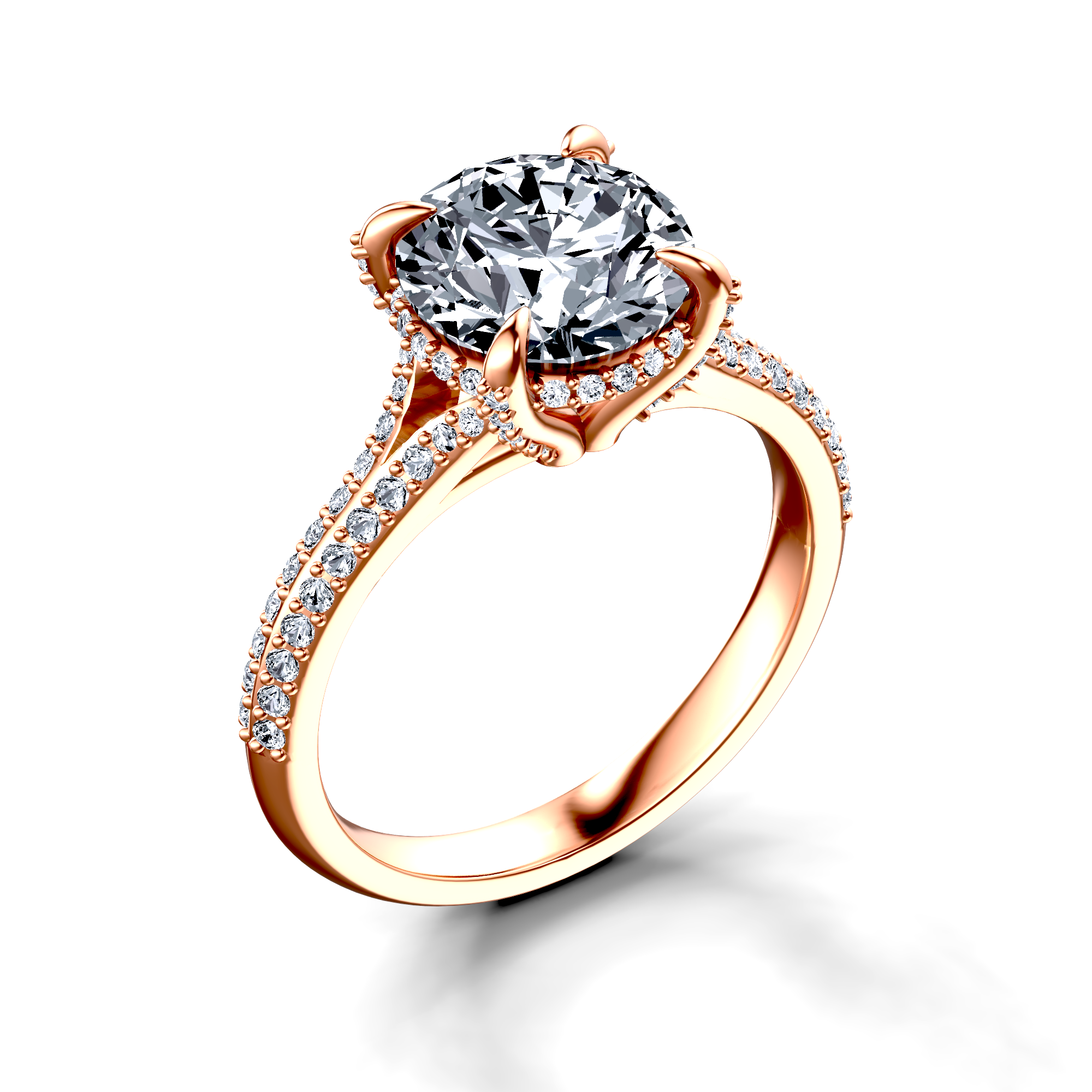 Image for The Adora