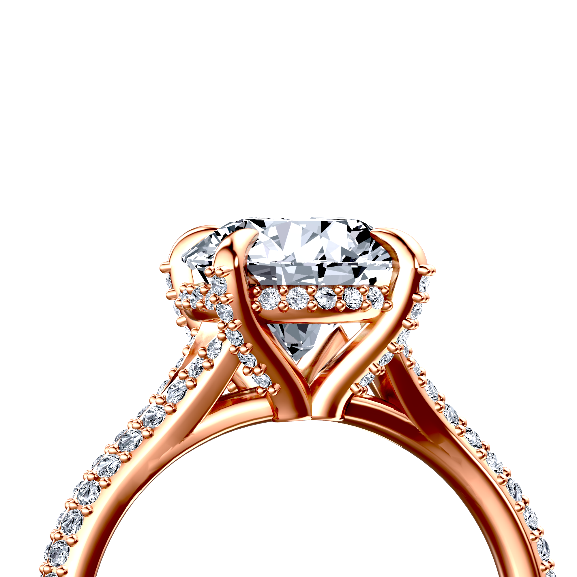 Image for The Adora