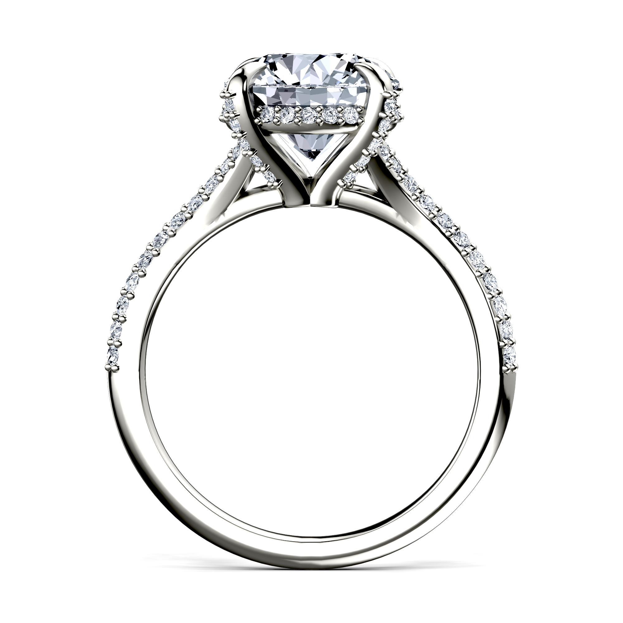 Image for The Adora