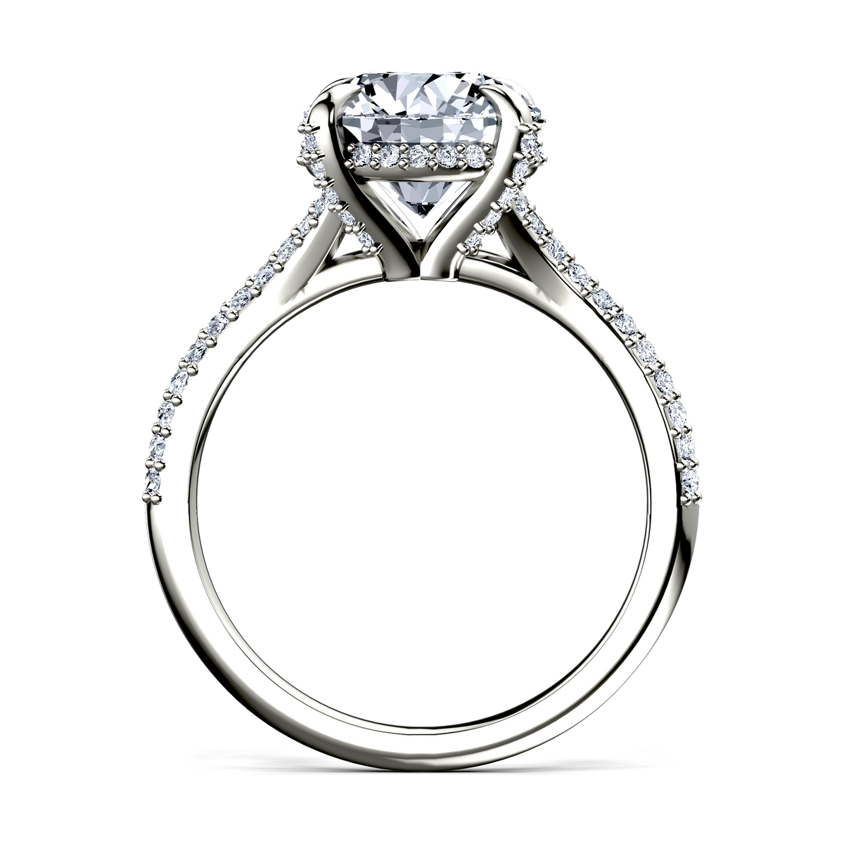 Image for The Adora