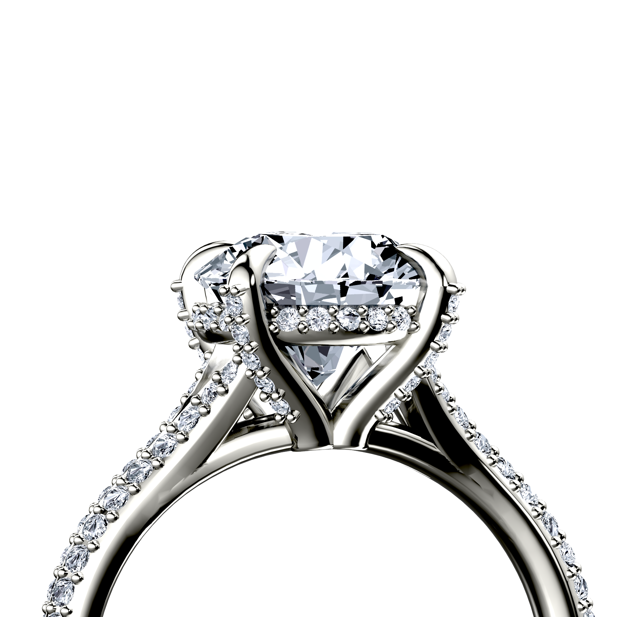 Image for The Adora
