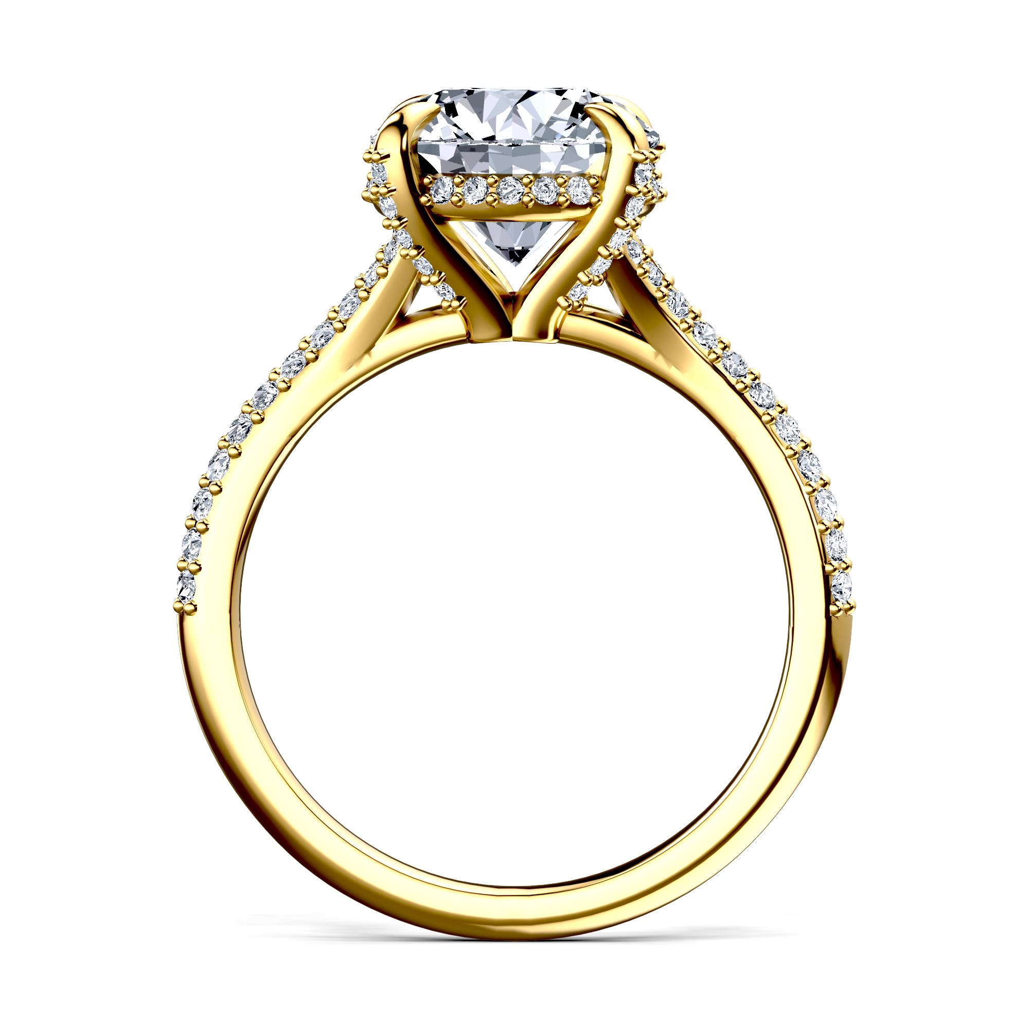 Image for The Adora