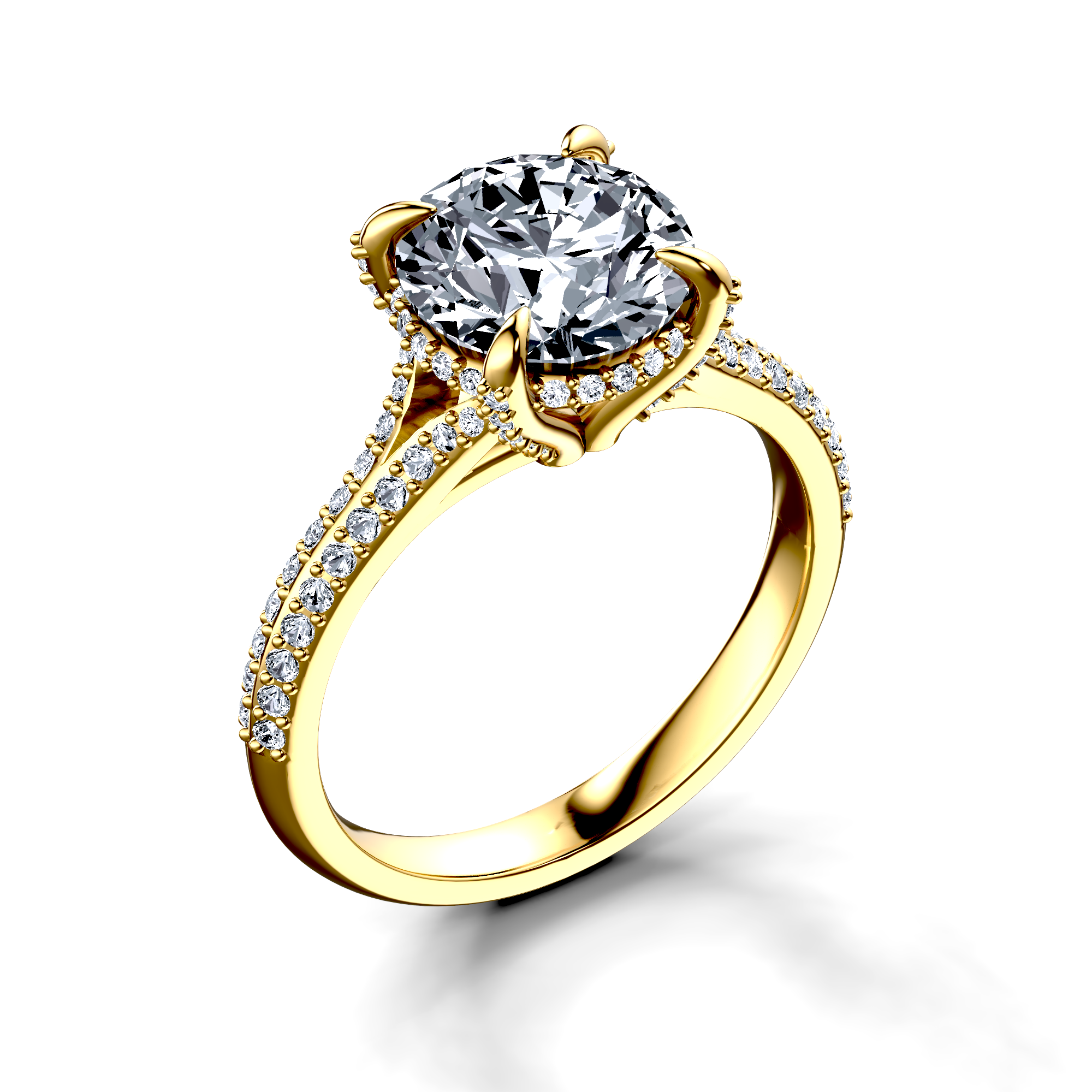Image for The Adora