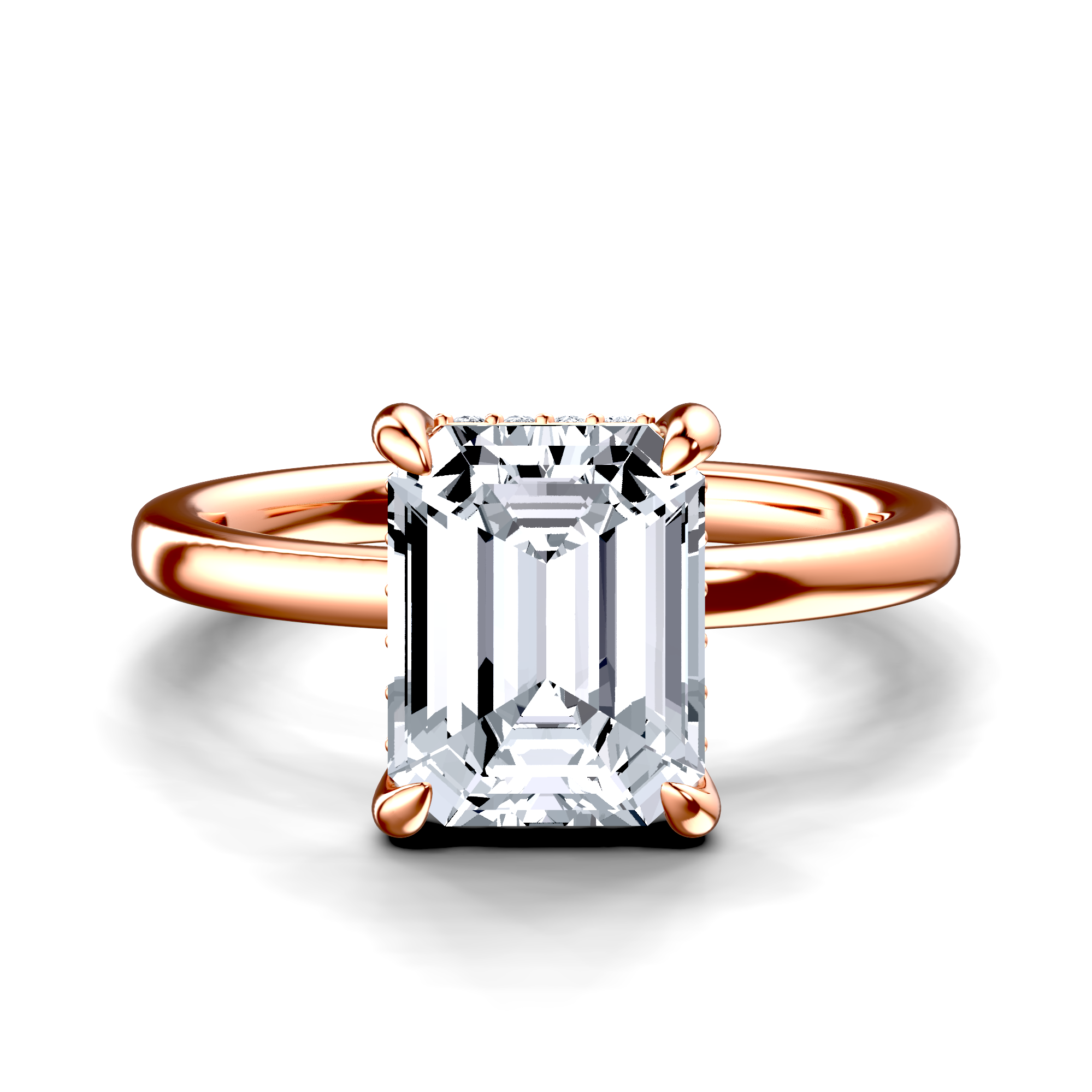 Image for The Alina