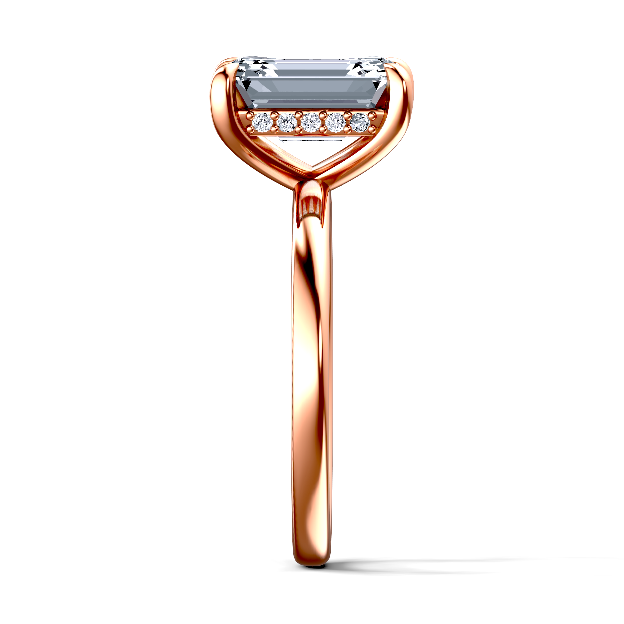 Image for The Alina