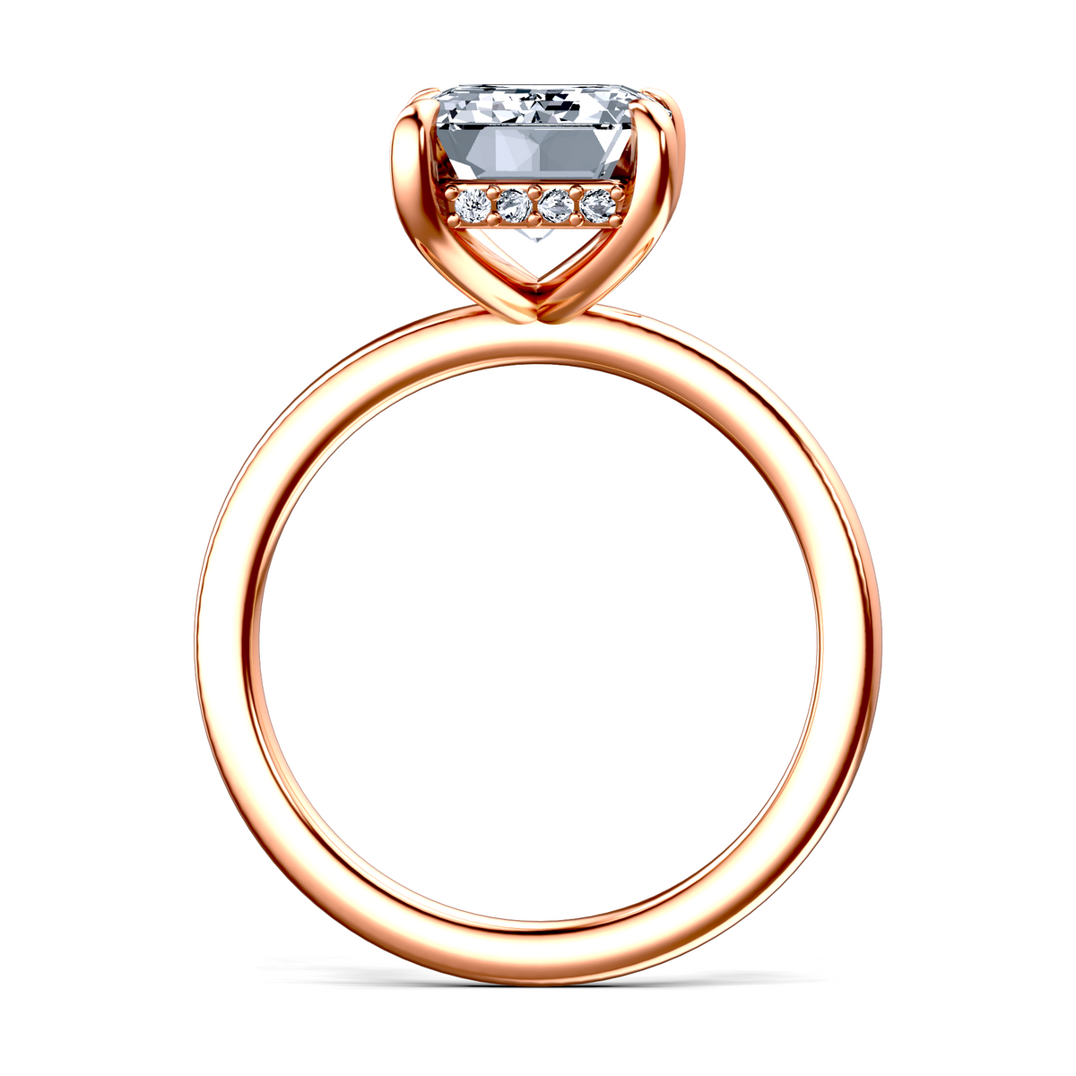 Image for The Alina