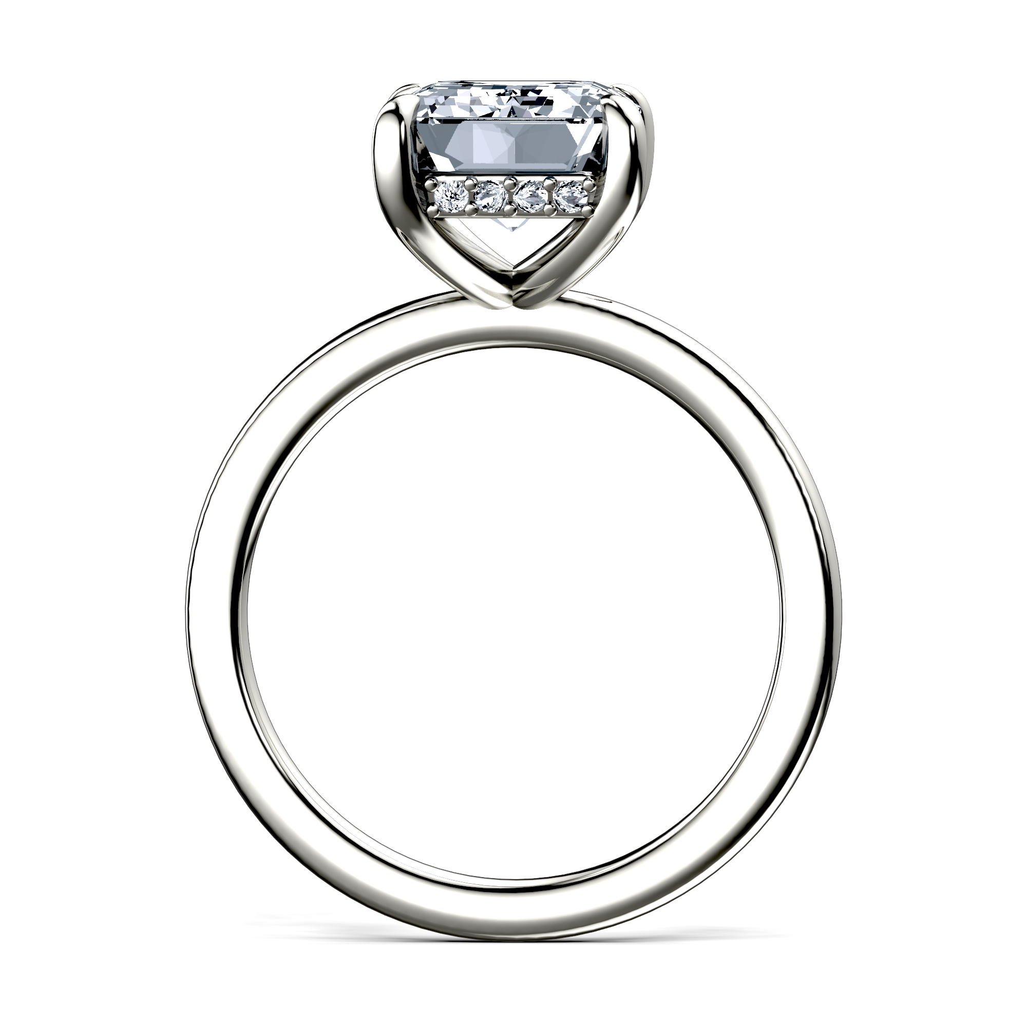 Image for The Alina