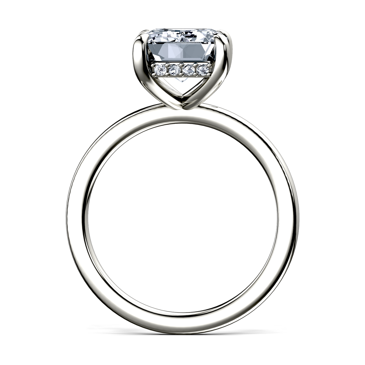 Image for The Alina