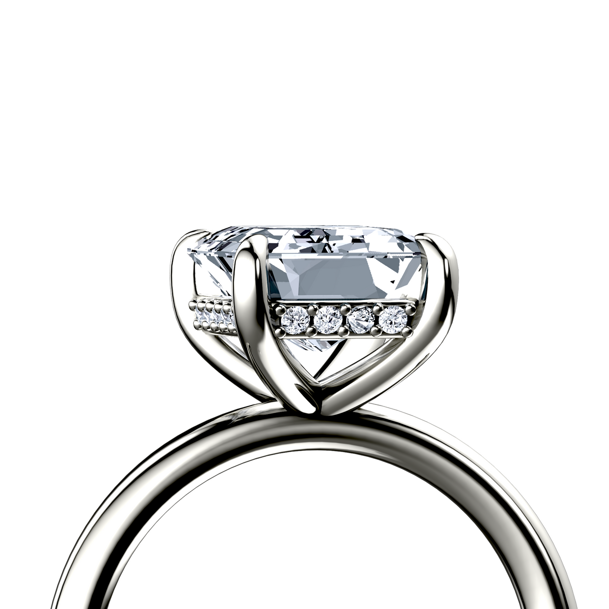 Image for The Alina