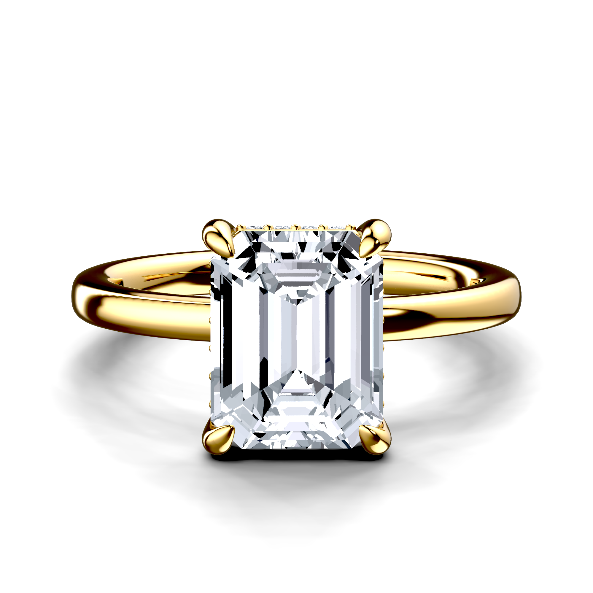 Image for The Alina