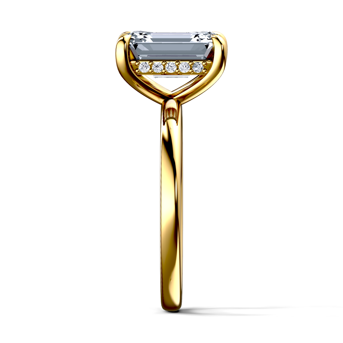 Image for The Alina