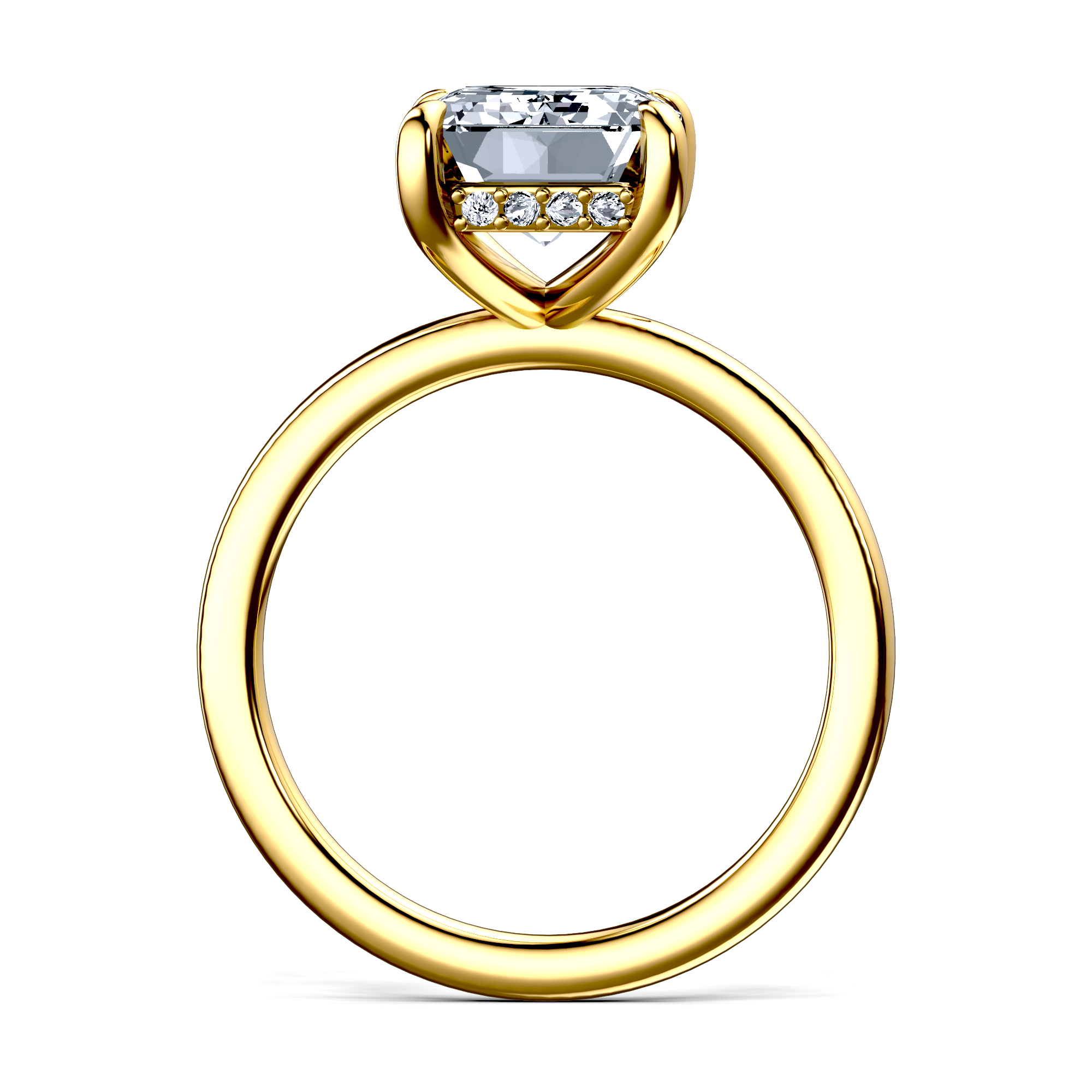 Image for The Alina