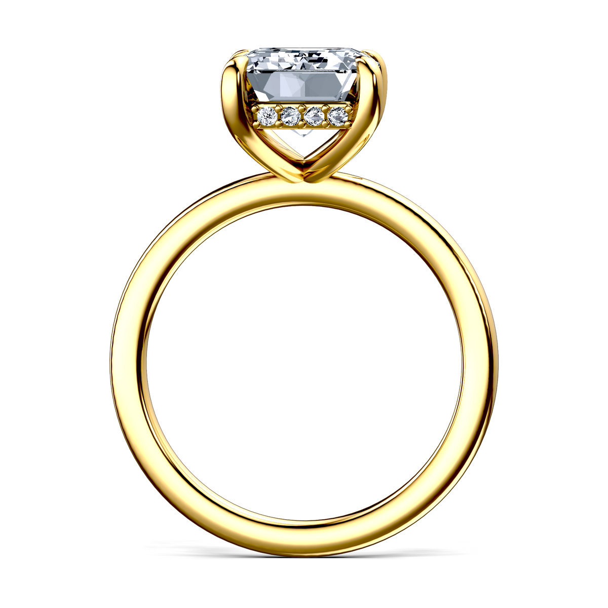 Image for The Alina