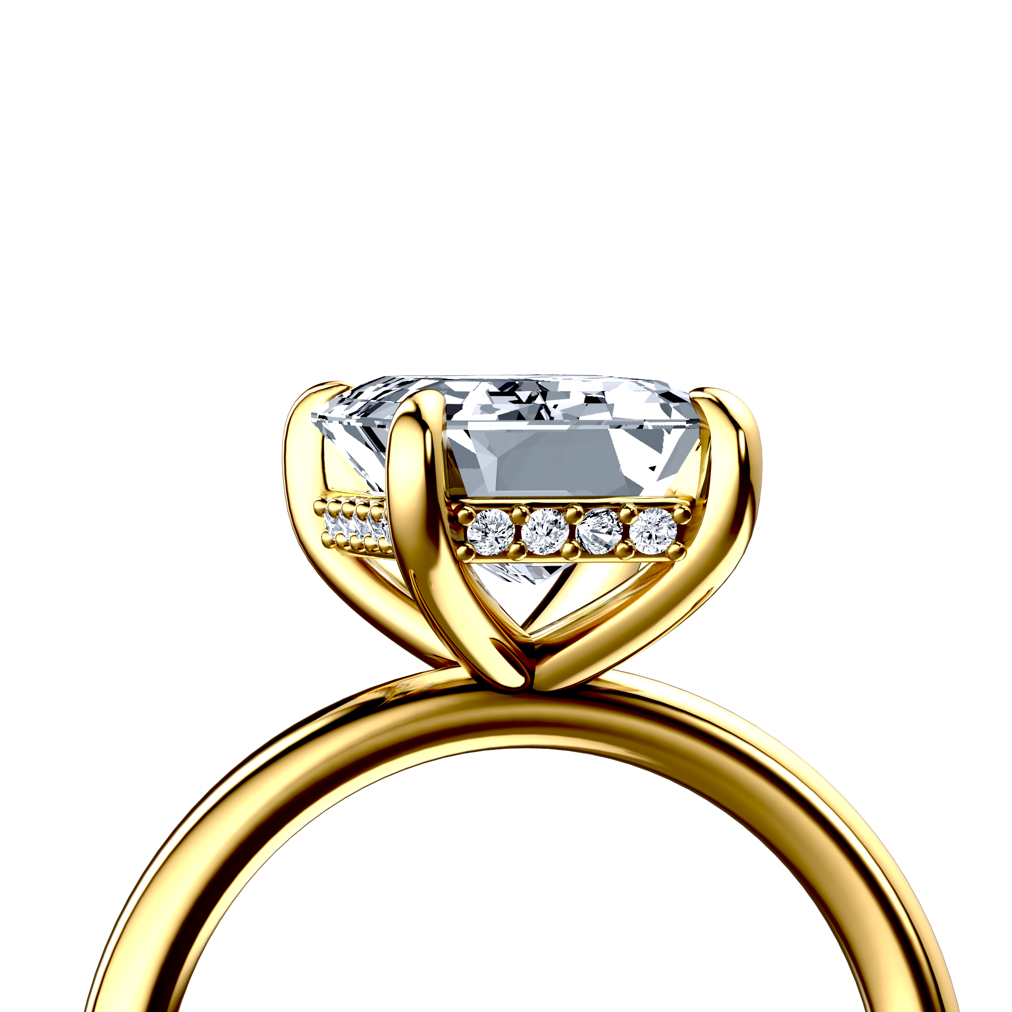 Image for The Alina