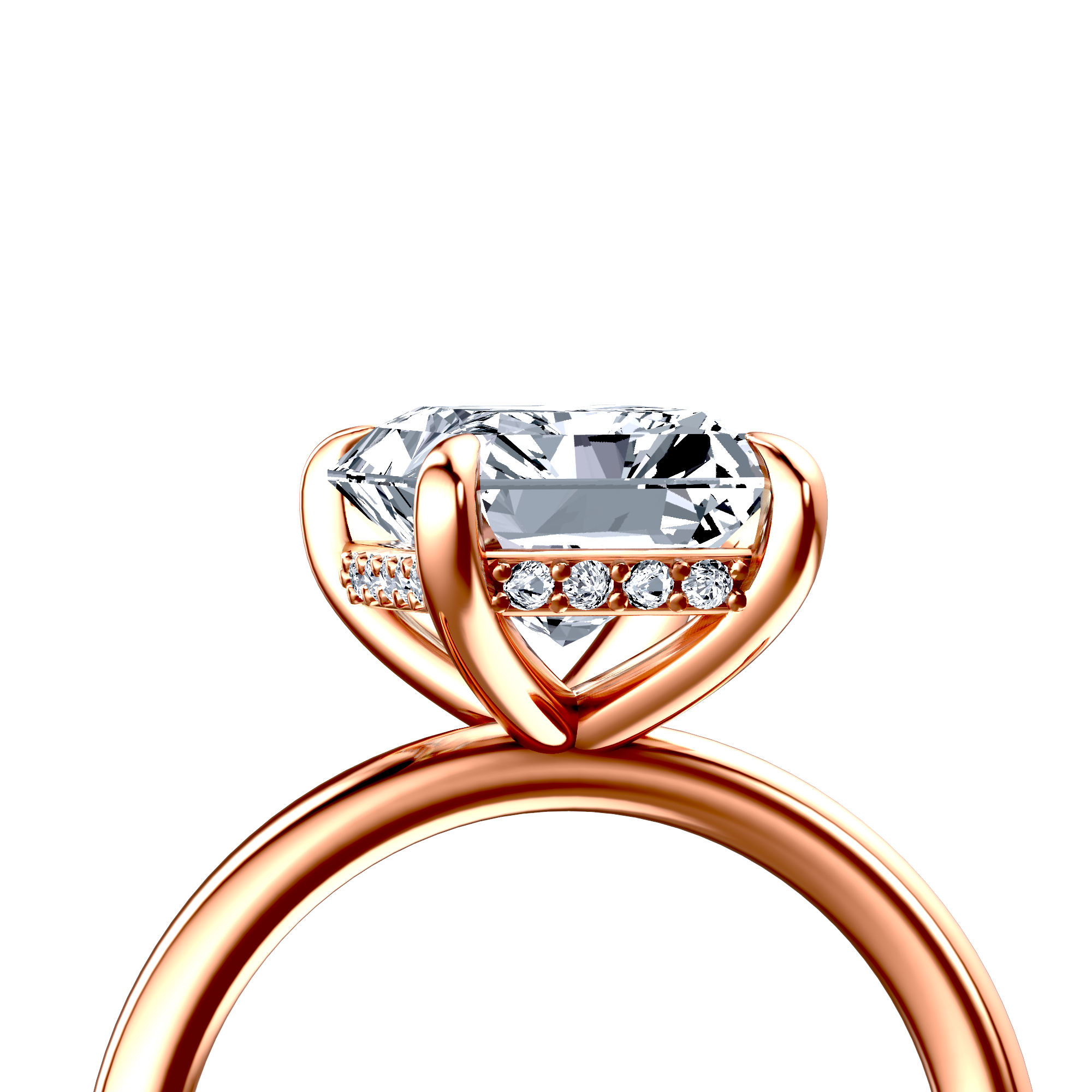 Image for The Alina