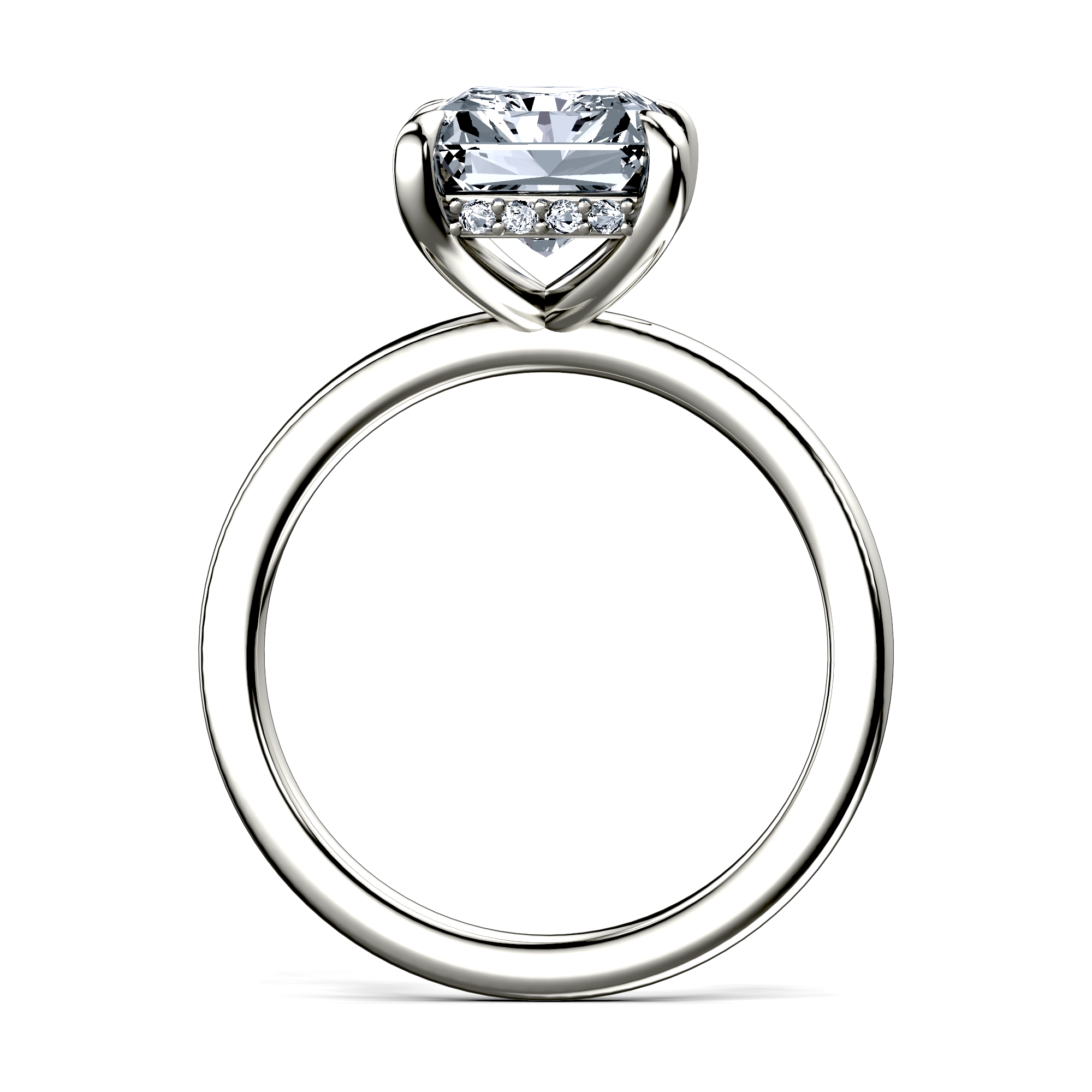 Image for The Alina
