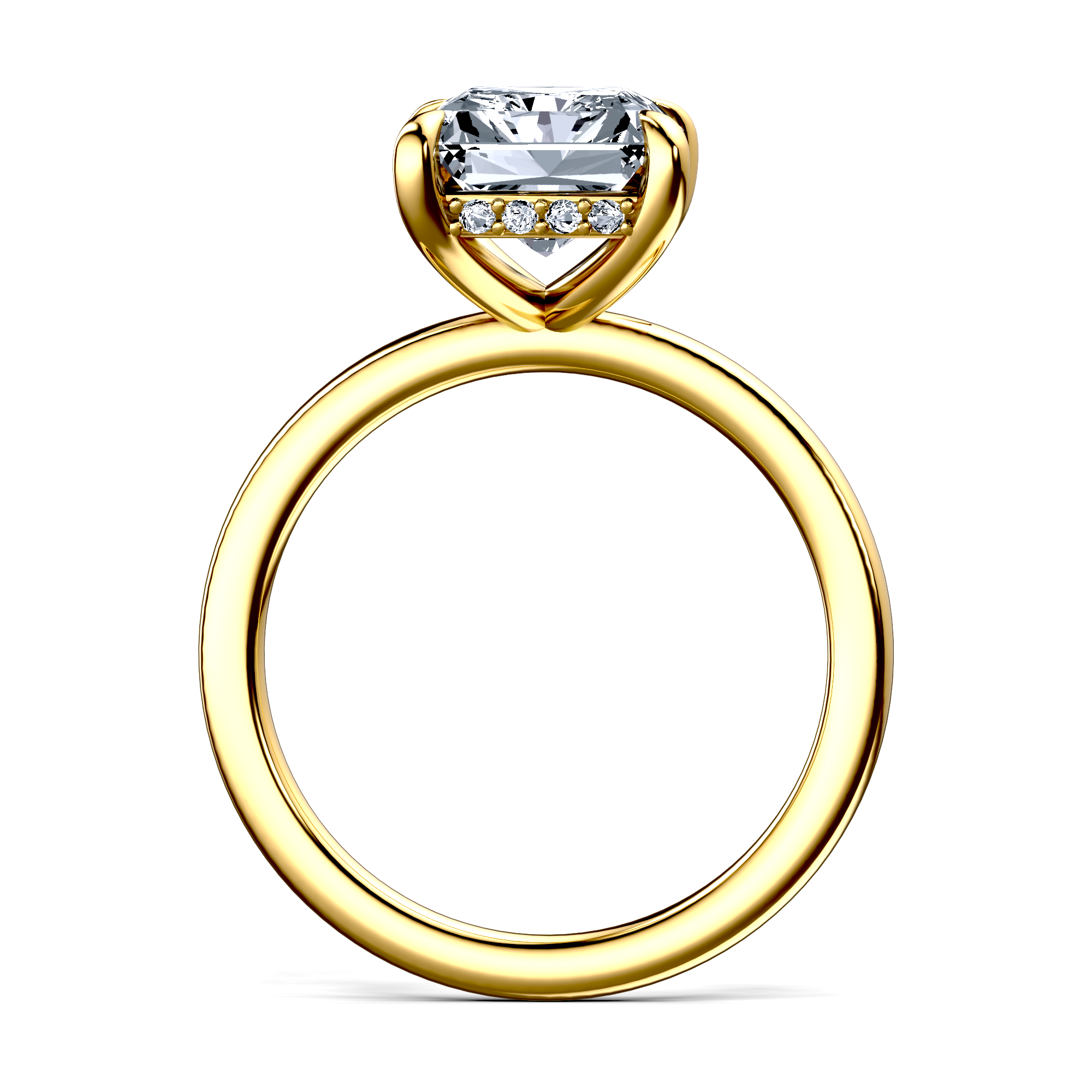 Image for The Alina