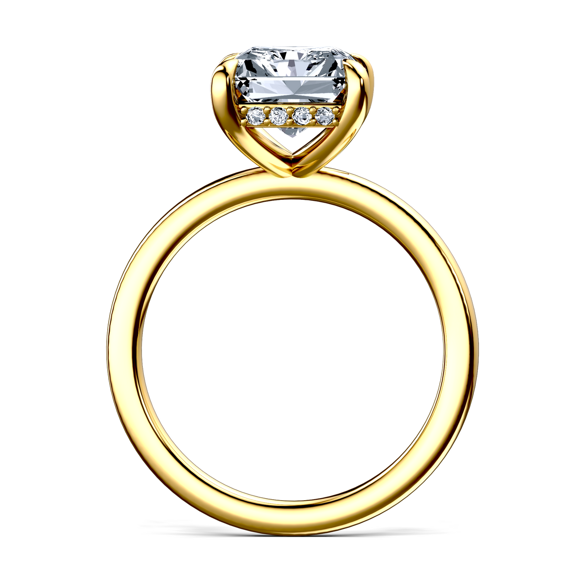 Image for The Alina