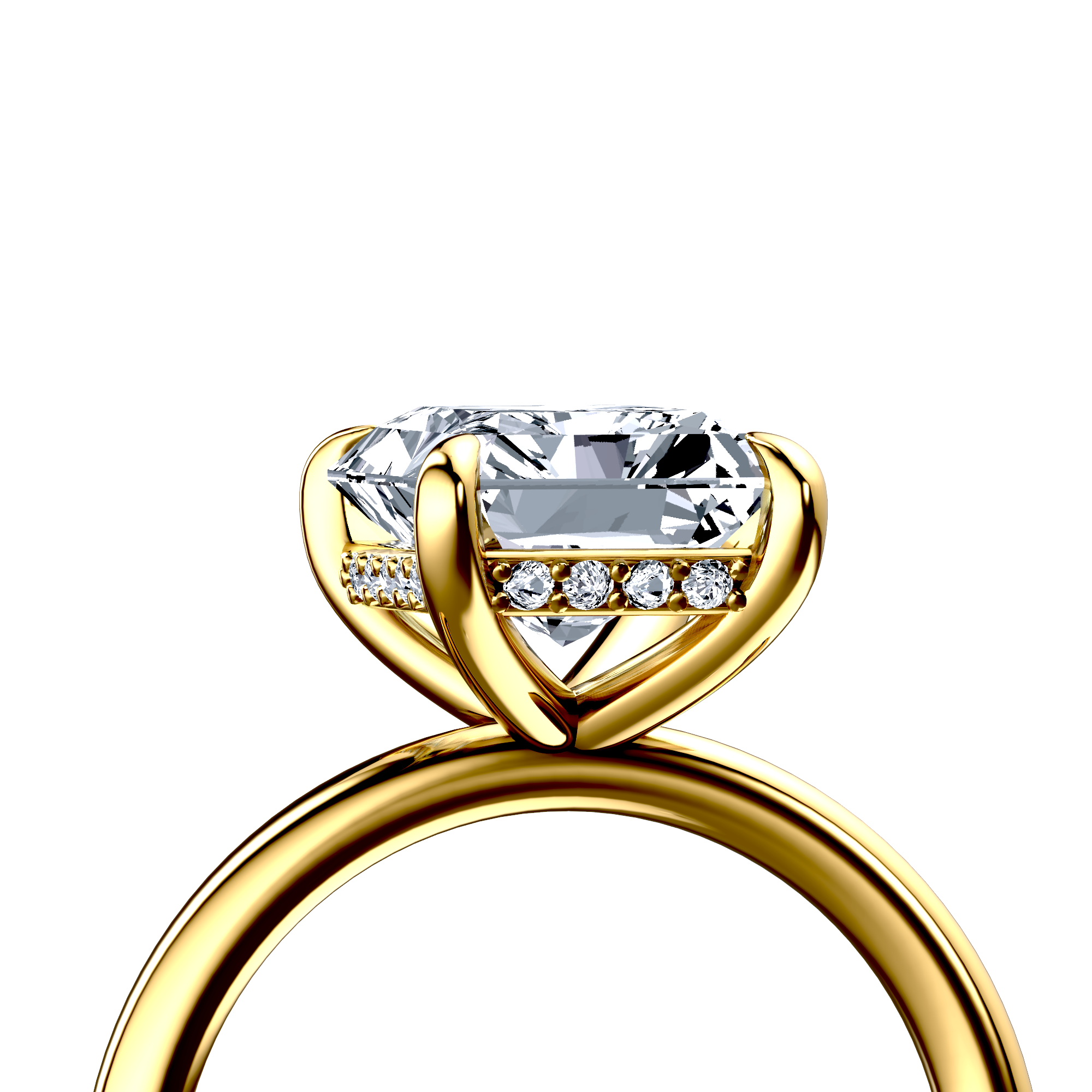 Image for The Alina