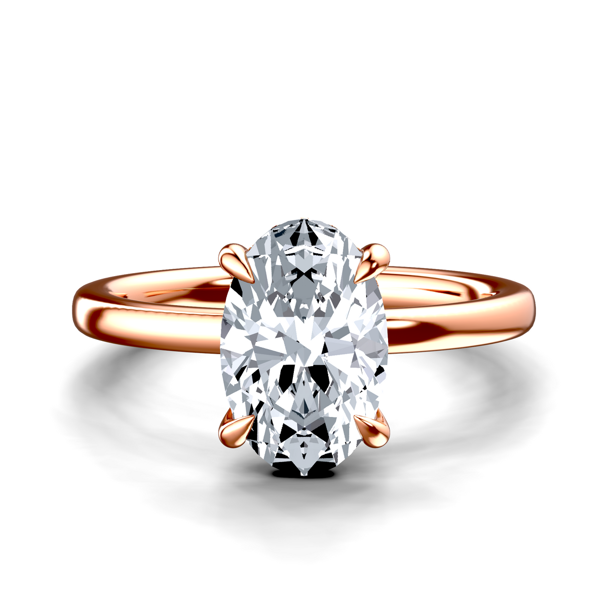 Image for The Alina