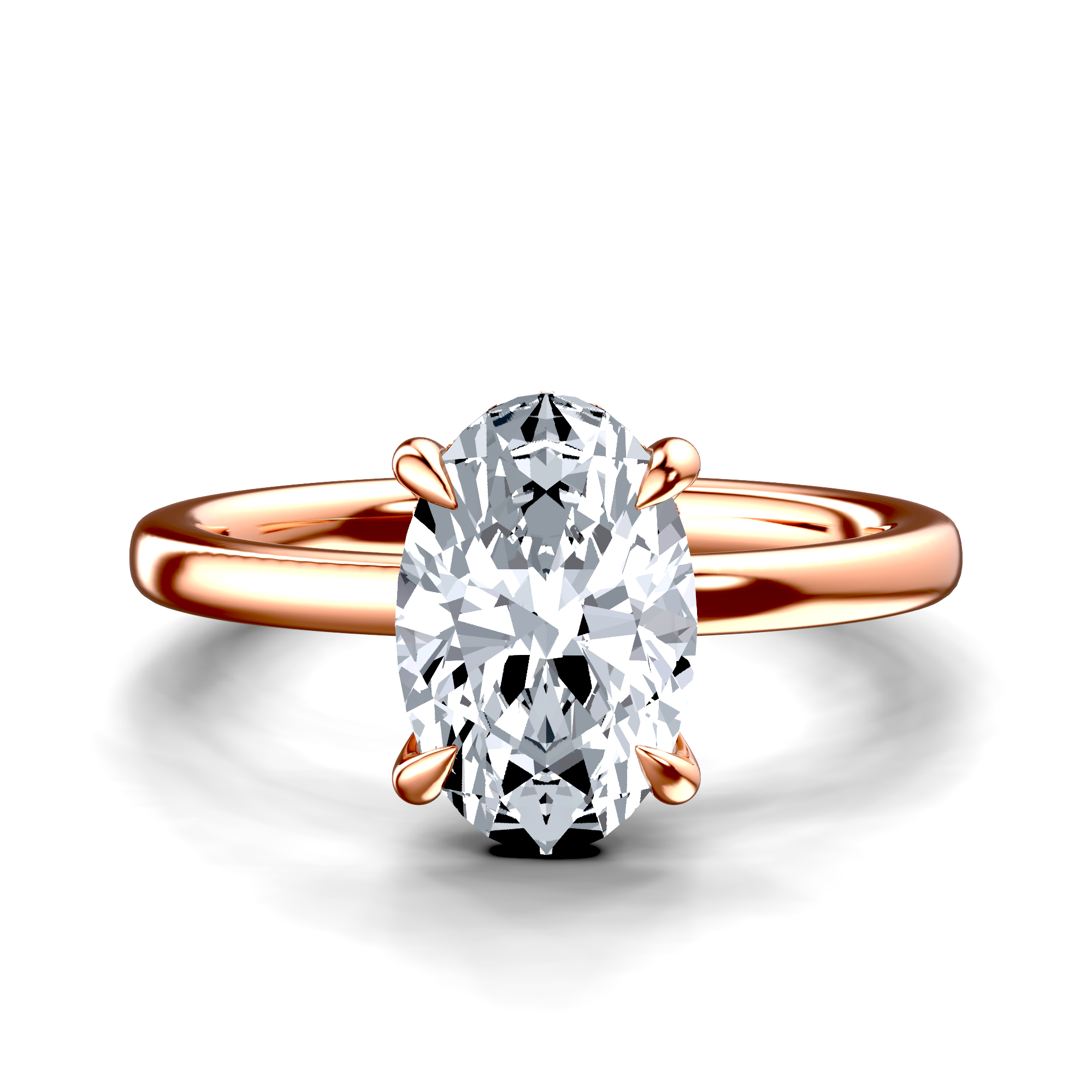 Image for The Alina