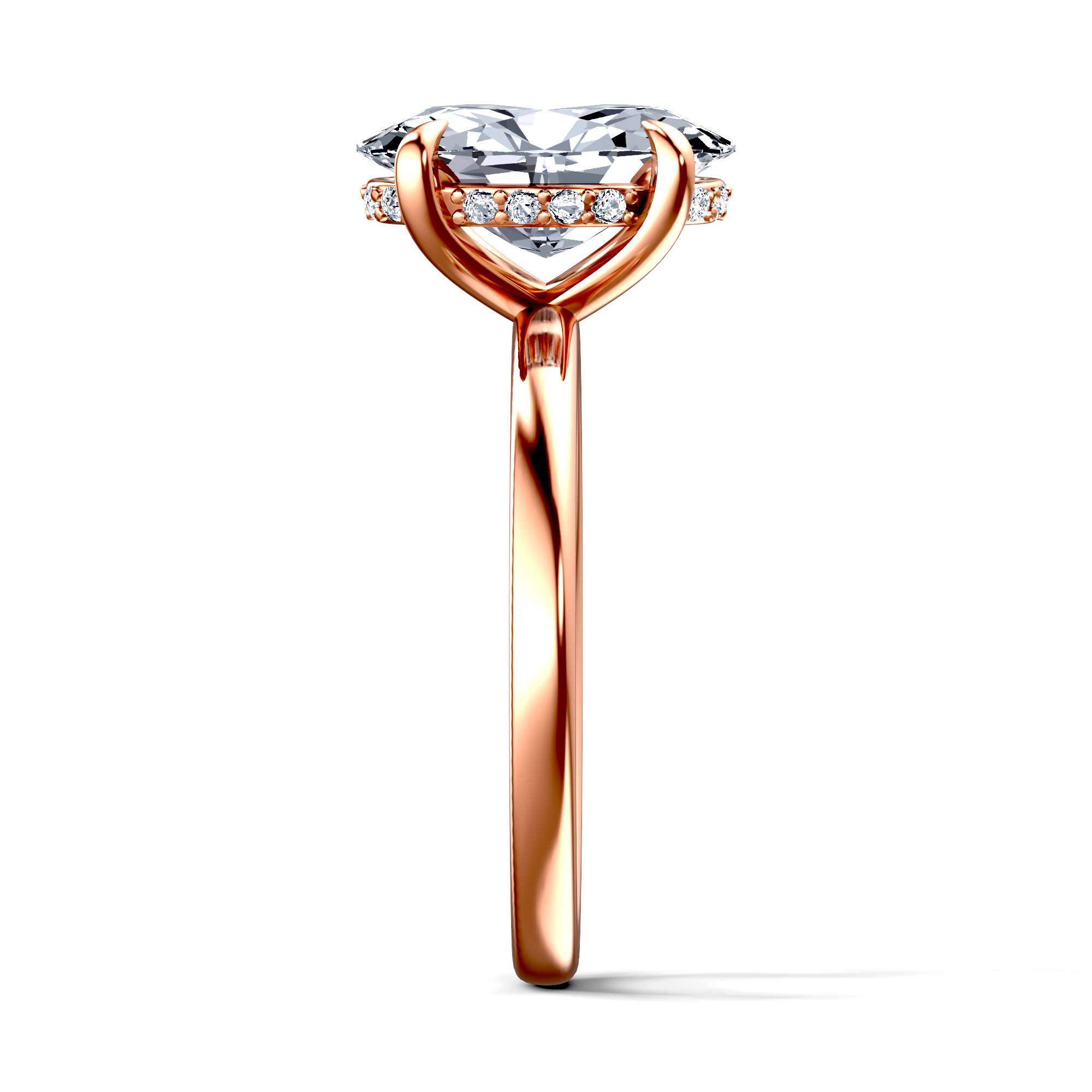 Image for The Alina