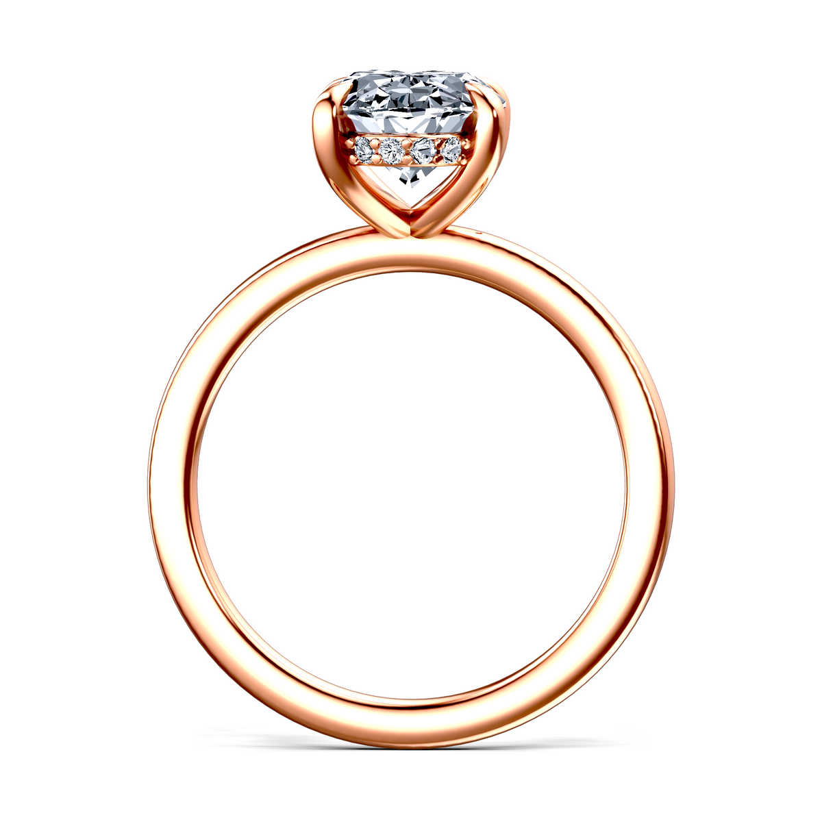 Image for The Alina