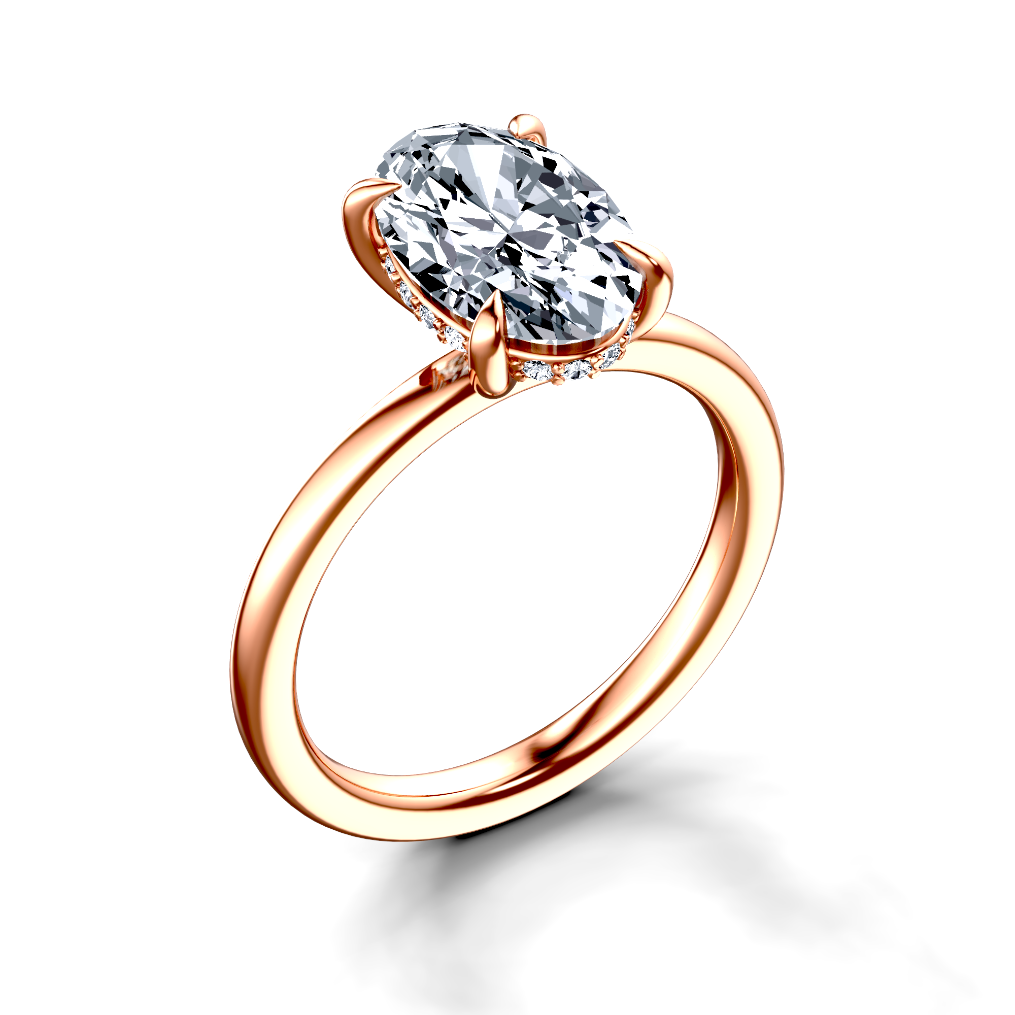 Image for The Alina