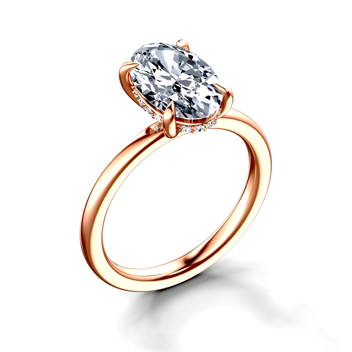 Image for The Alina