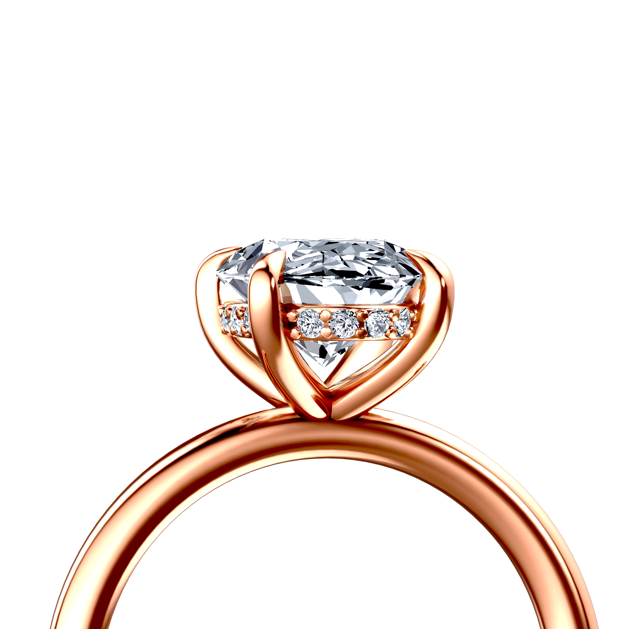 Image for The Alina