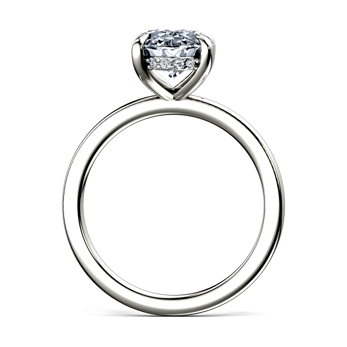Image for The Alina