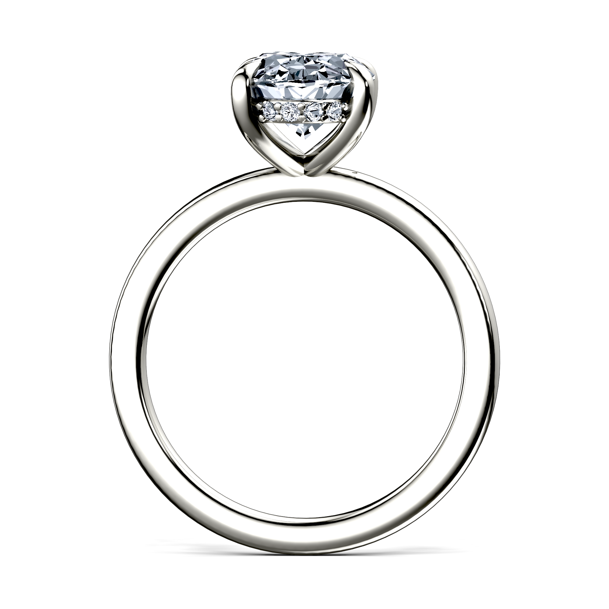 Image for The Alina