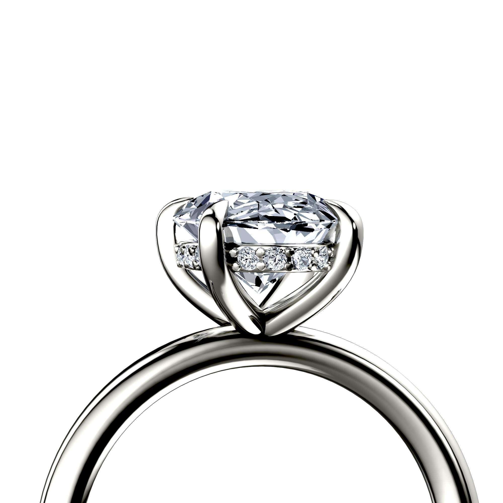 Image for The Alina